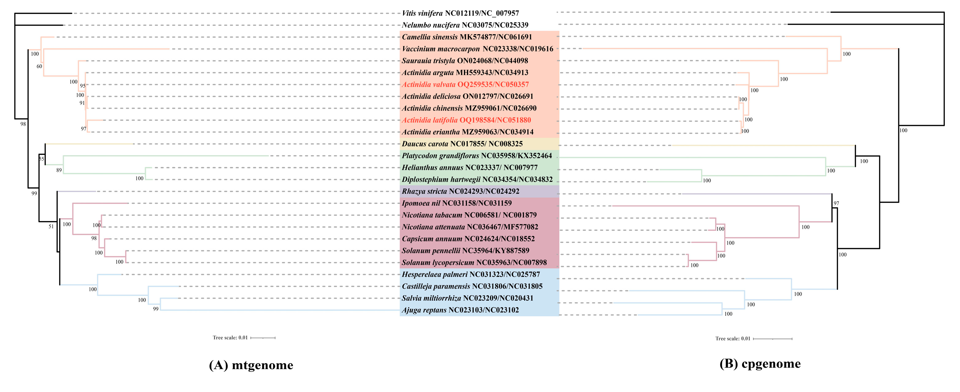 Genes 14 00863 g005 Genes 14 00863 g005