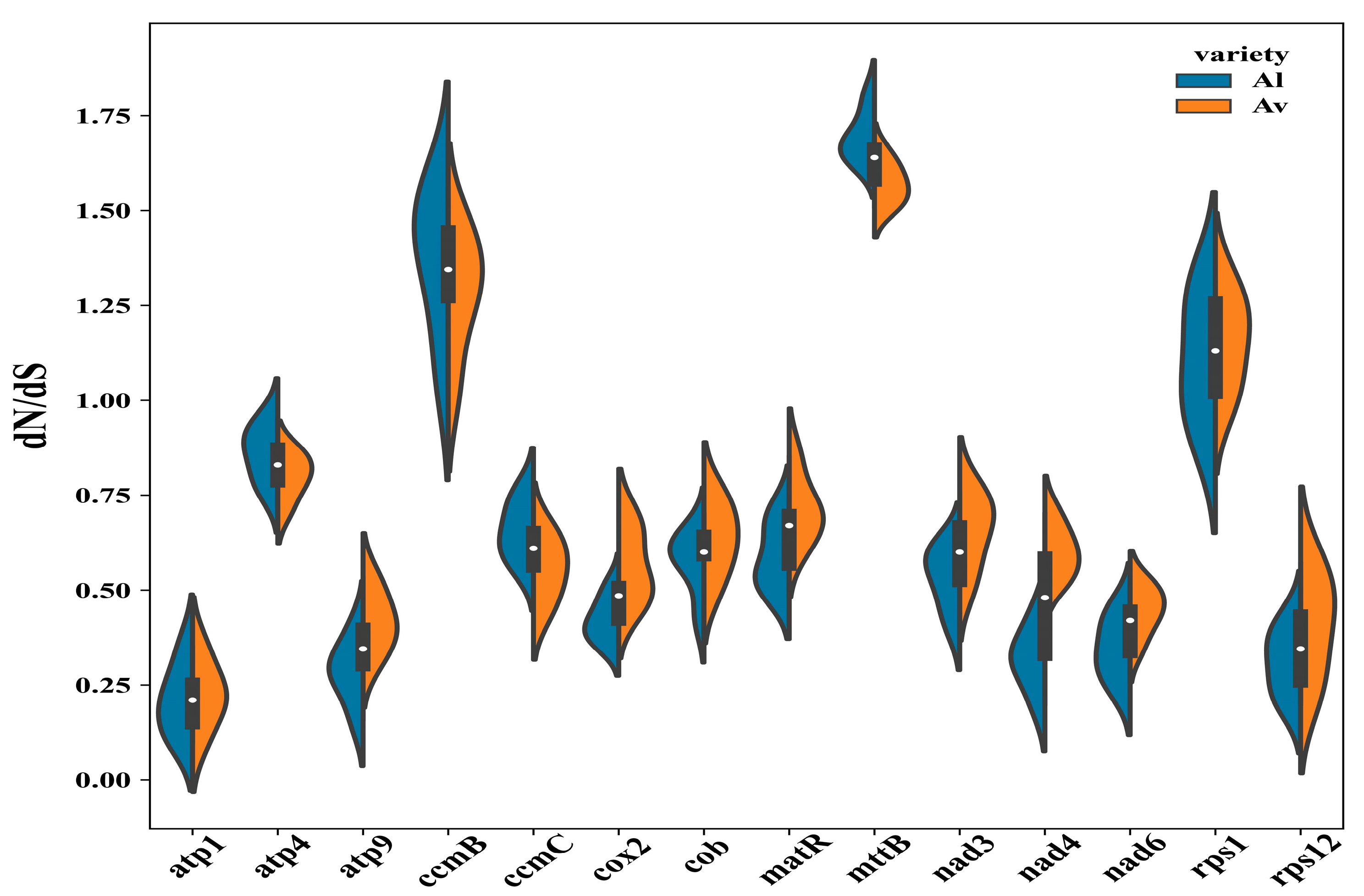 Genes 14 00863 g006 Genes 14 00863 g006