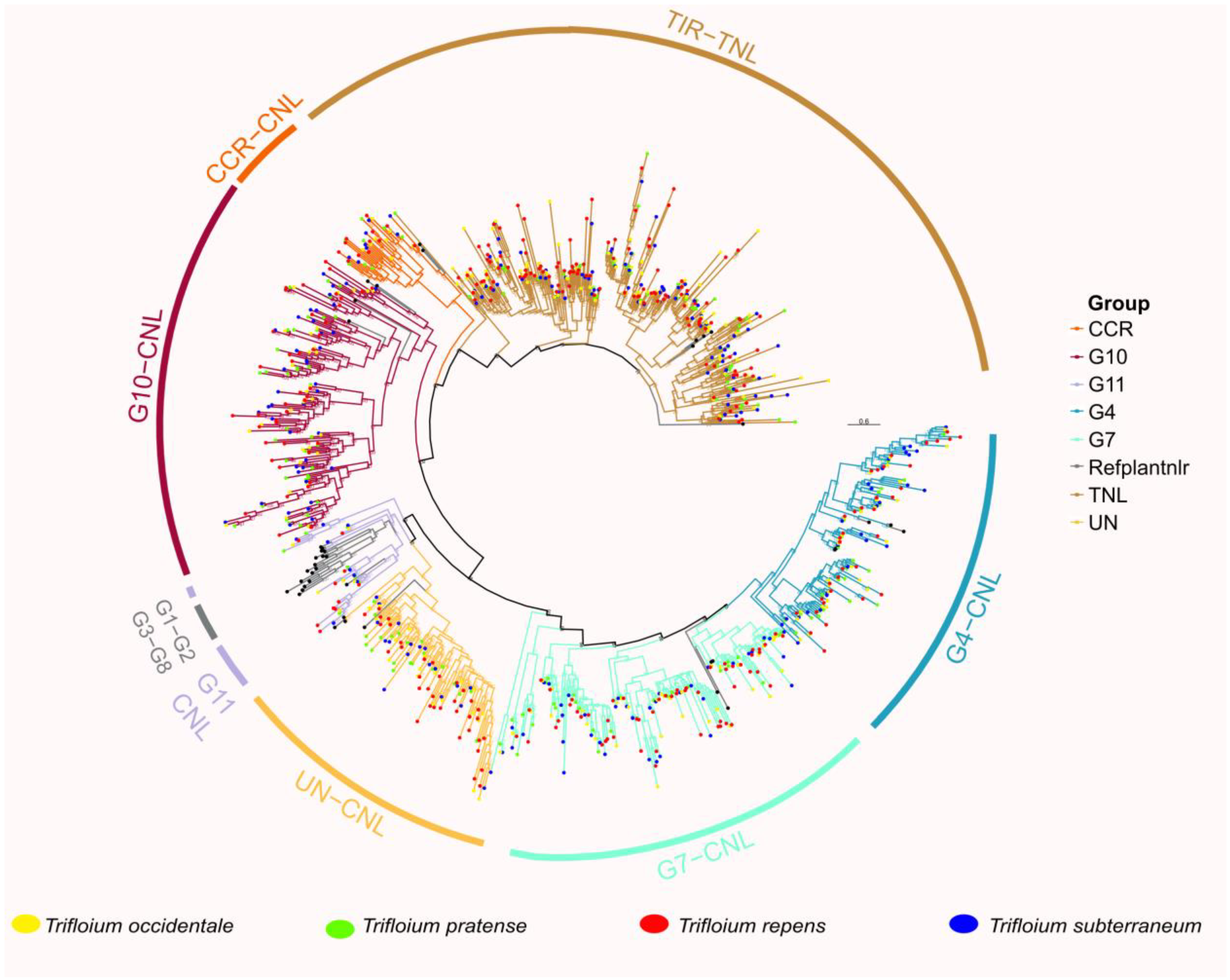 Genes 14 00867 g003 Genes 14 00867 g003