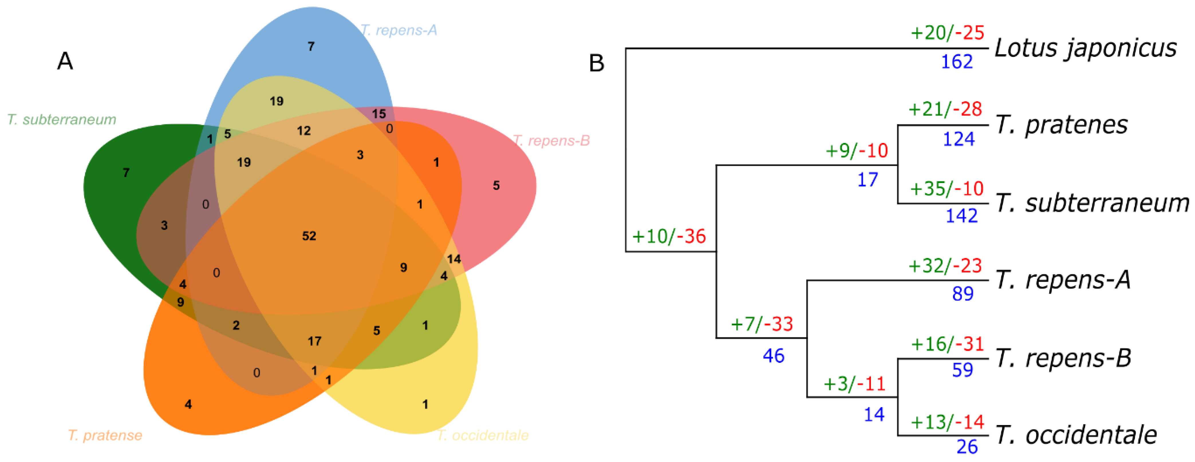 Genes 14 00867 g004 Genes 14 00867 g004