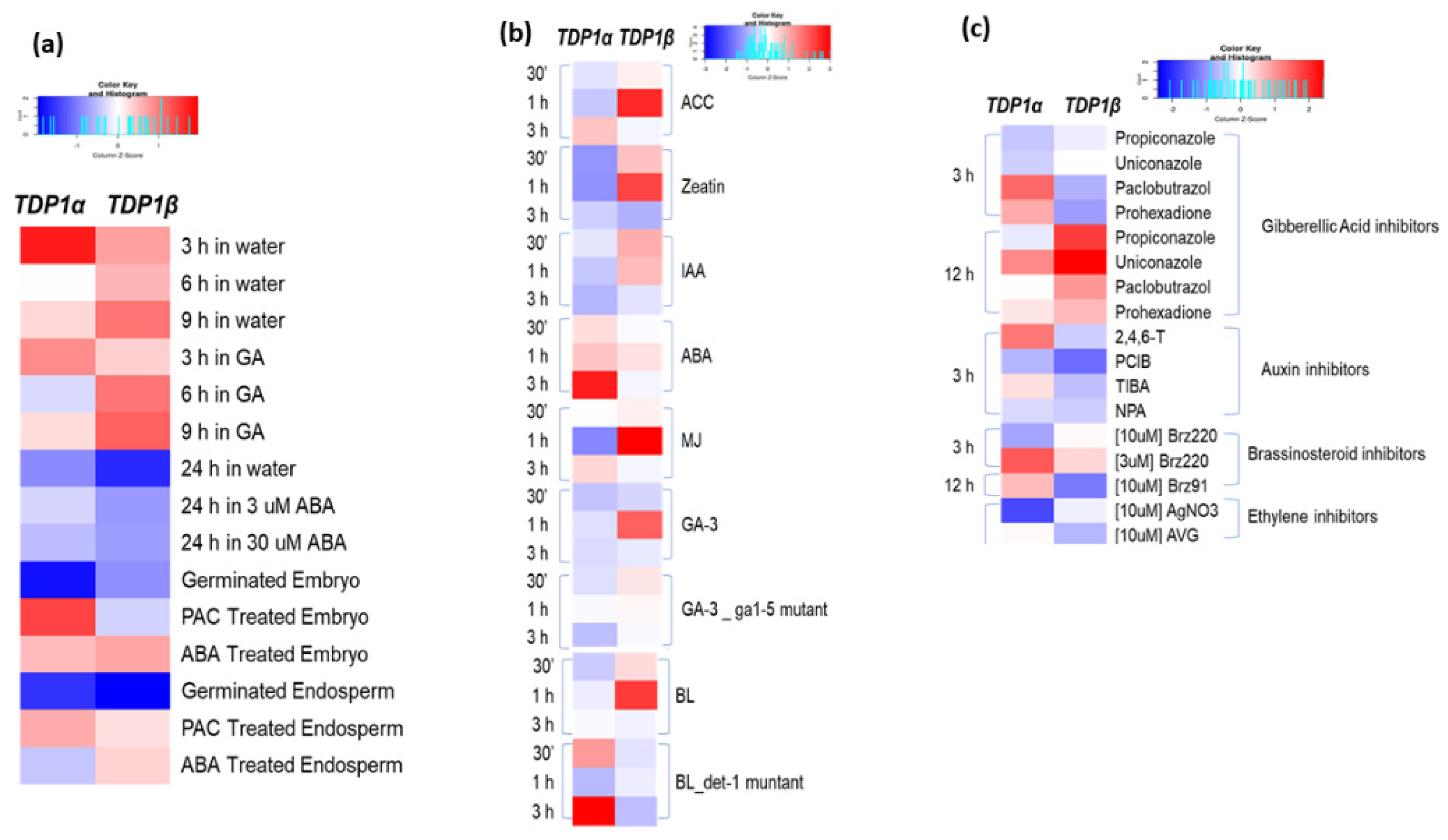 Genes 14 00884 g002 Genes 14 00884 g002