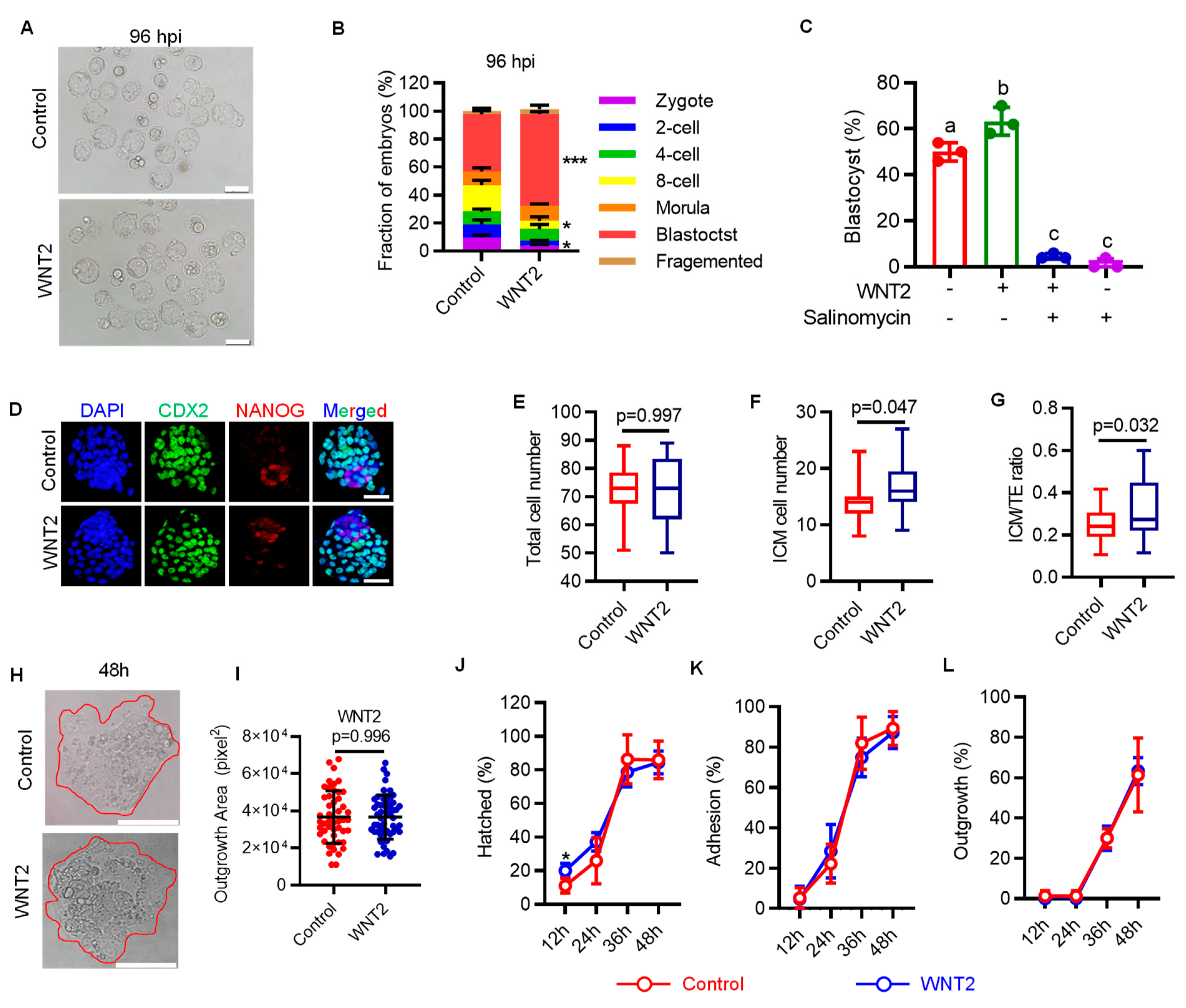 Genes 14 00891 g004 Genes 14 00891 g004