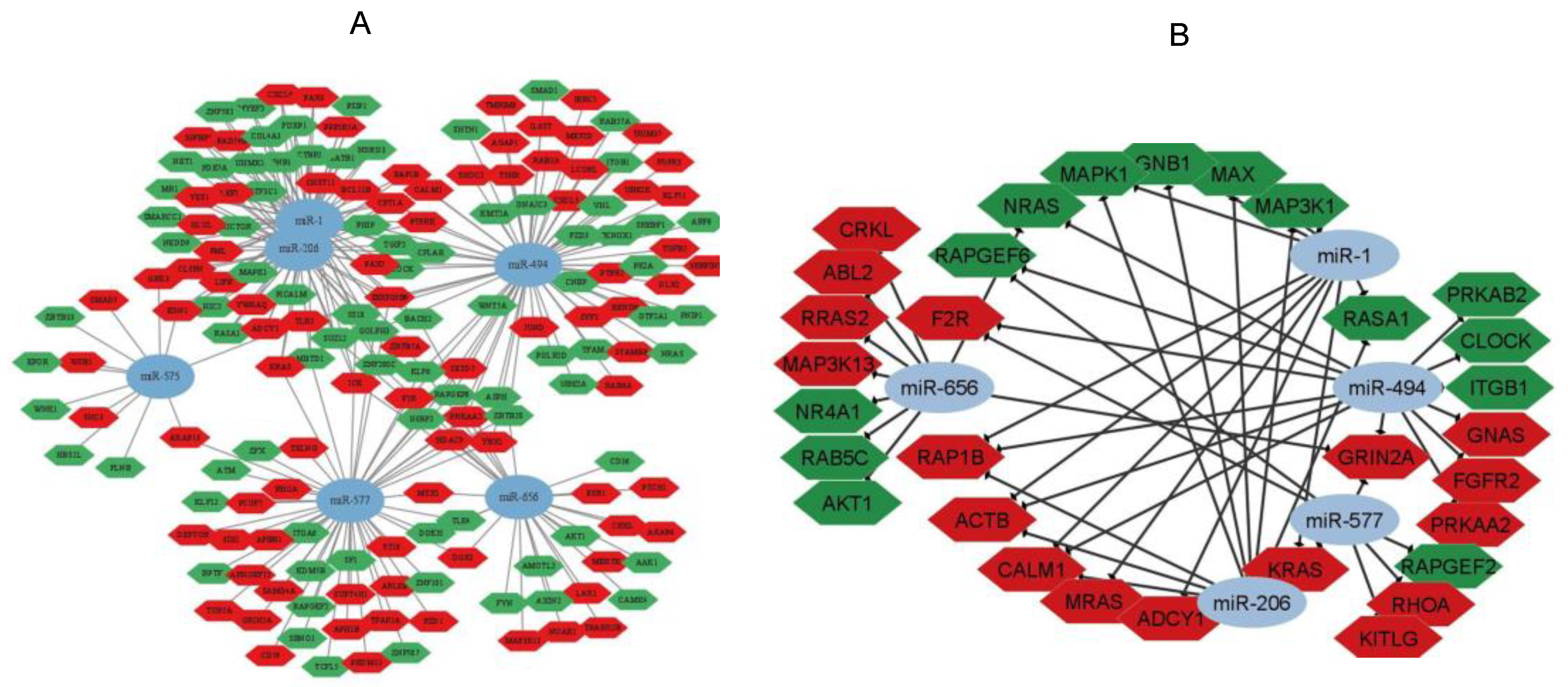 Genes 14 00898 g006 Genes 14 00898 g006