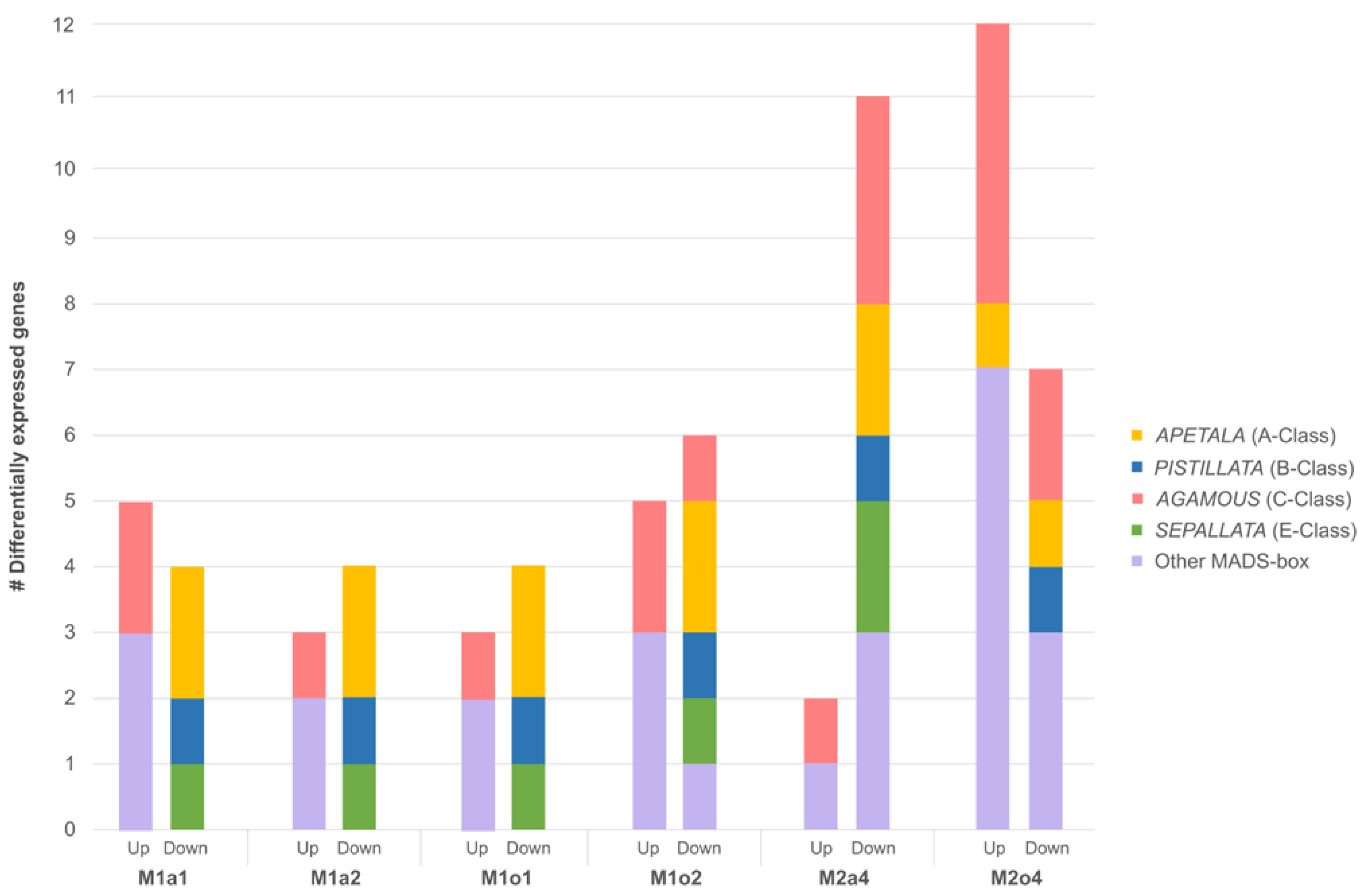 Genes 14 00901 g002 Genes 14 00901 g002