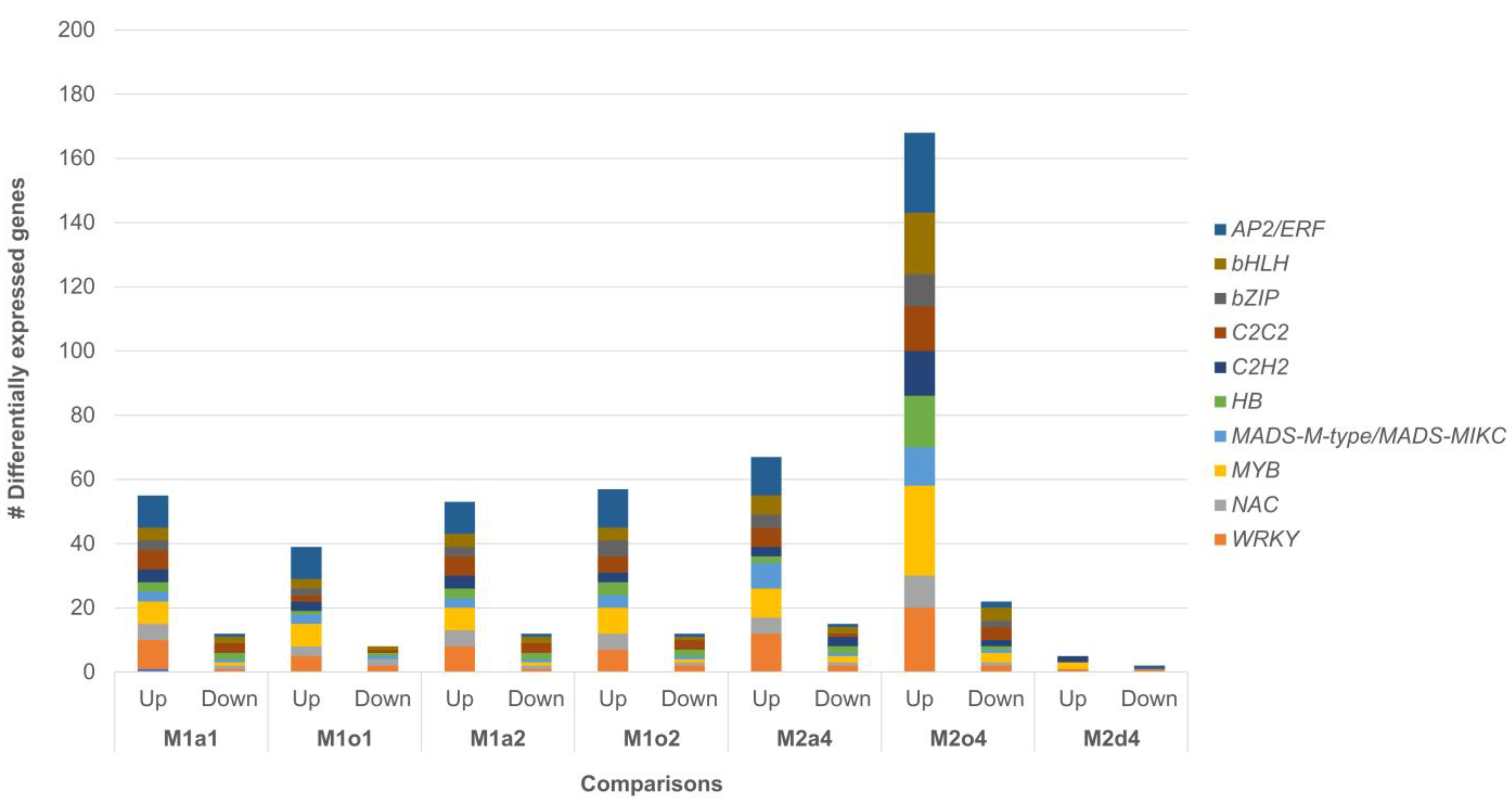 Genes 14 00901 g003 Genes 14 00901 g003