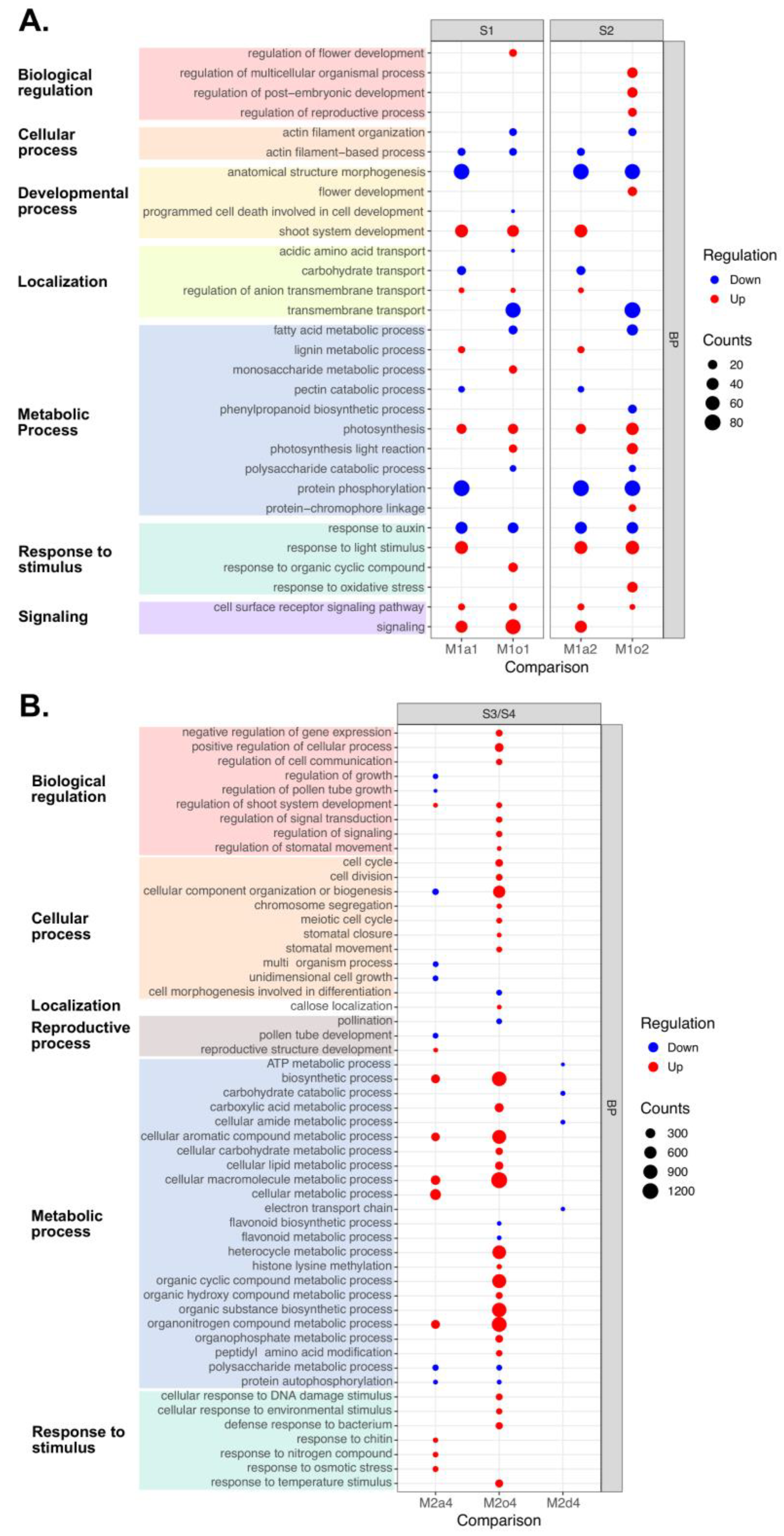 Genes 14 00901 g004 Genes 14 00901 g004