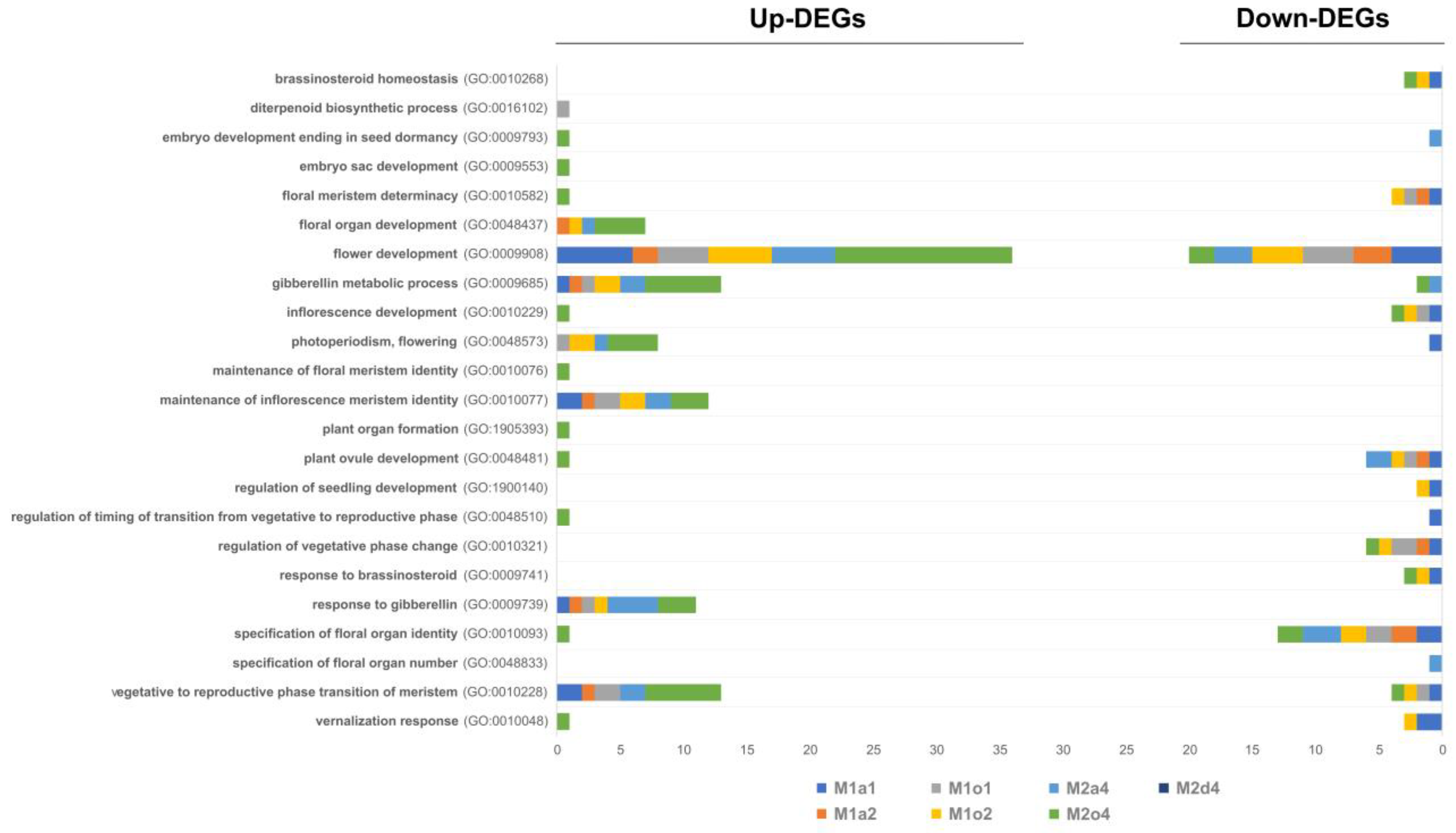 Genes 14 00901 g005 Genes 14 00901 g005