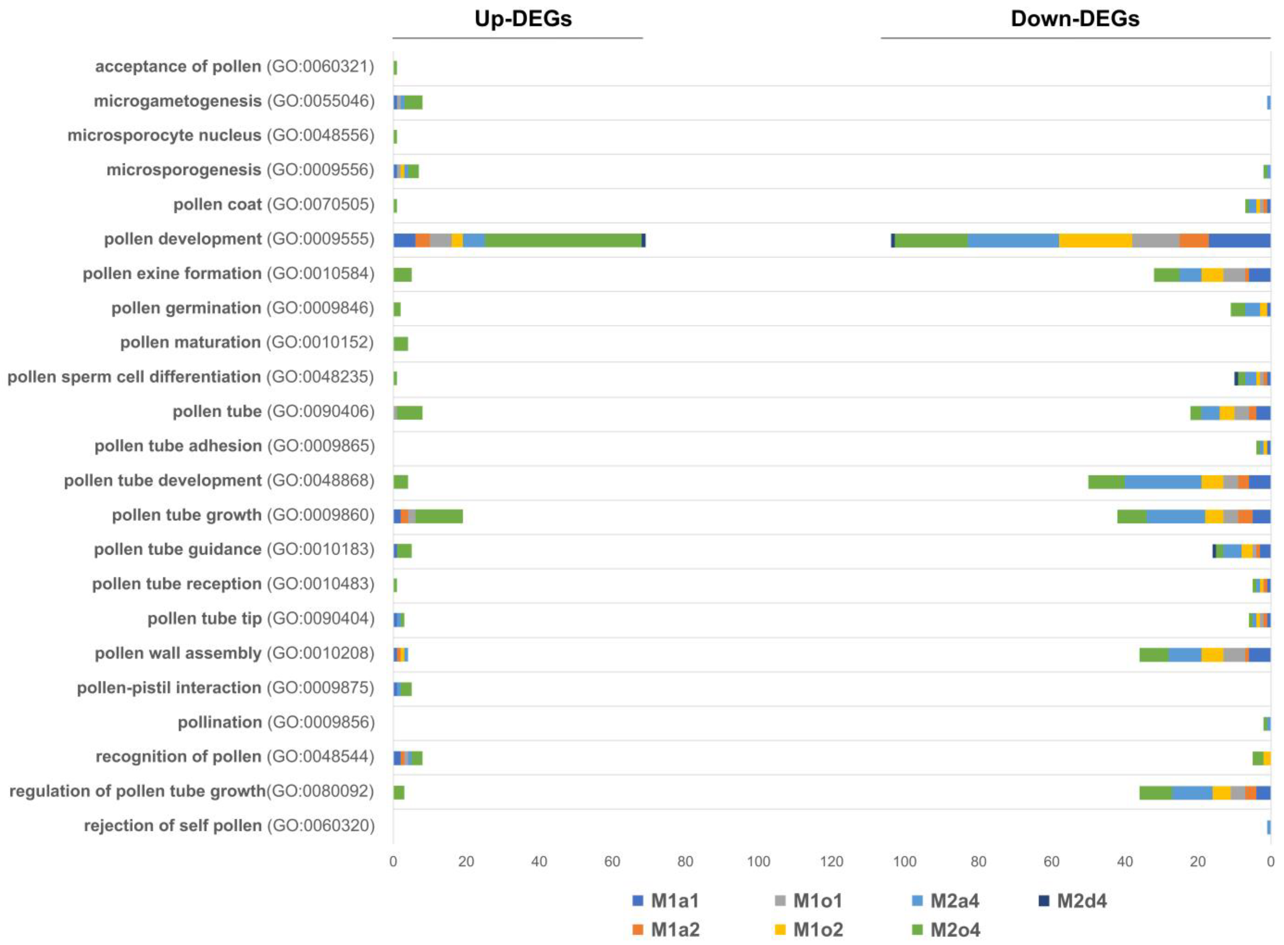 Genes 14 00901 g006 Genes 14 00901 g006