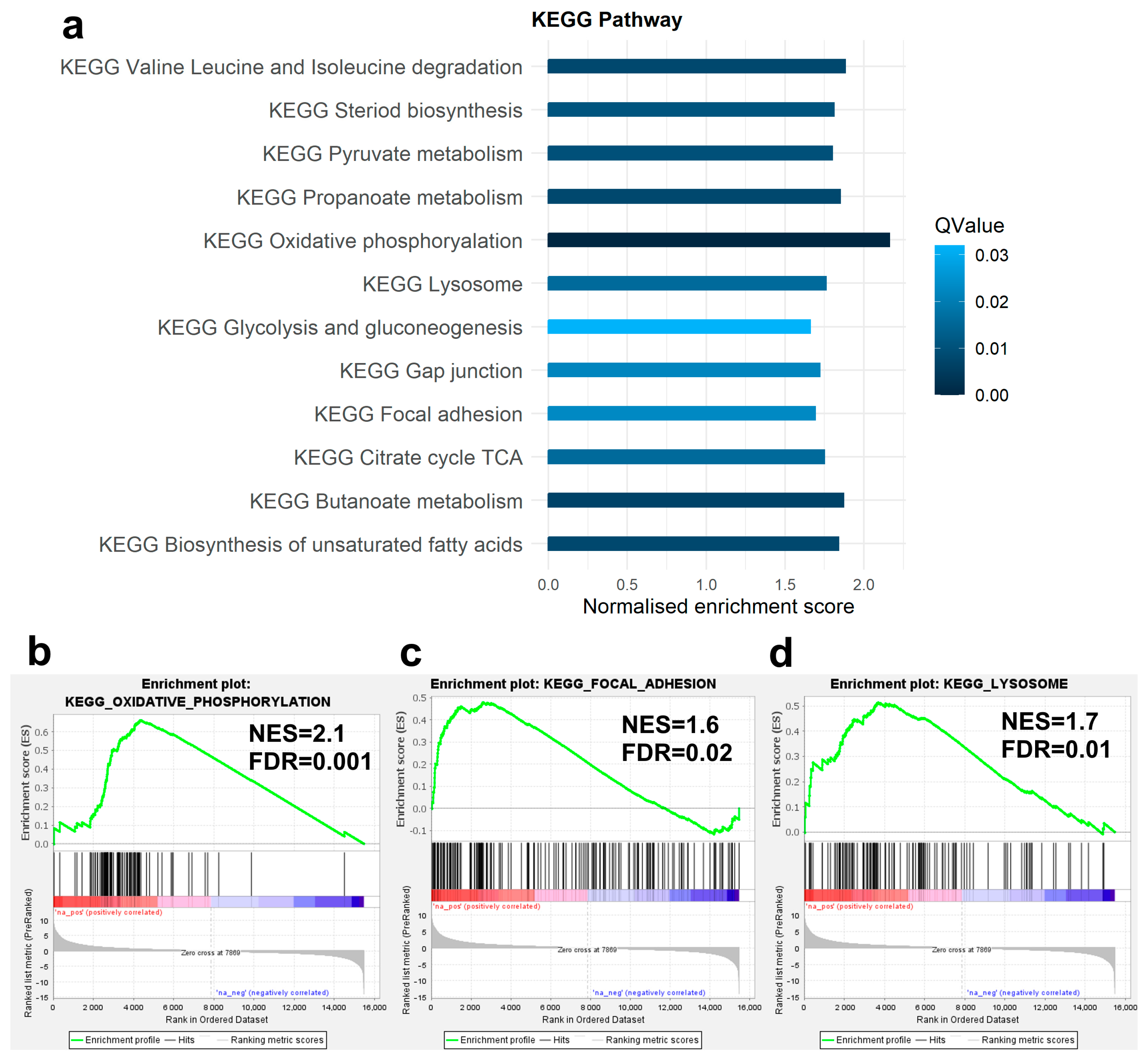 Genes 14 00916 g004 Genes 14 00916 g004