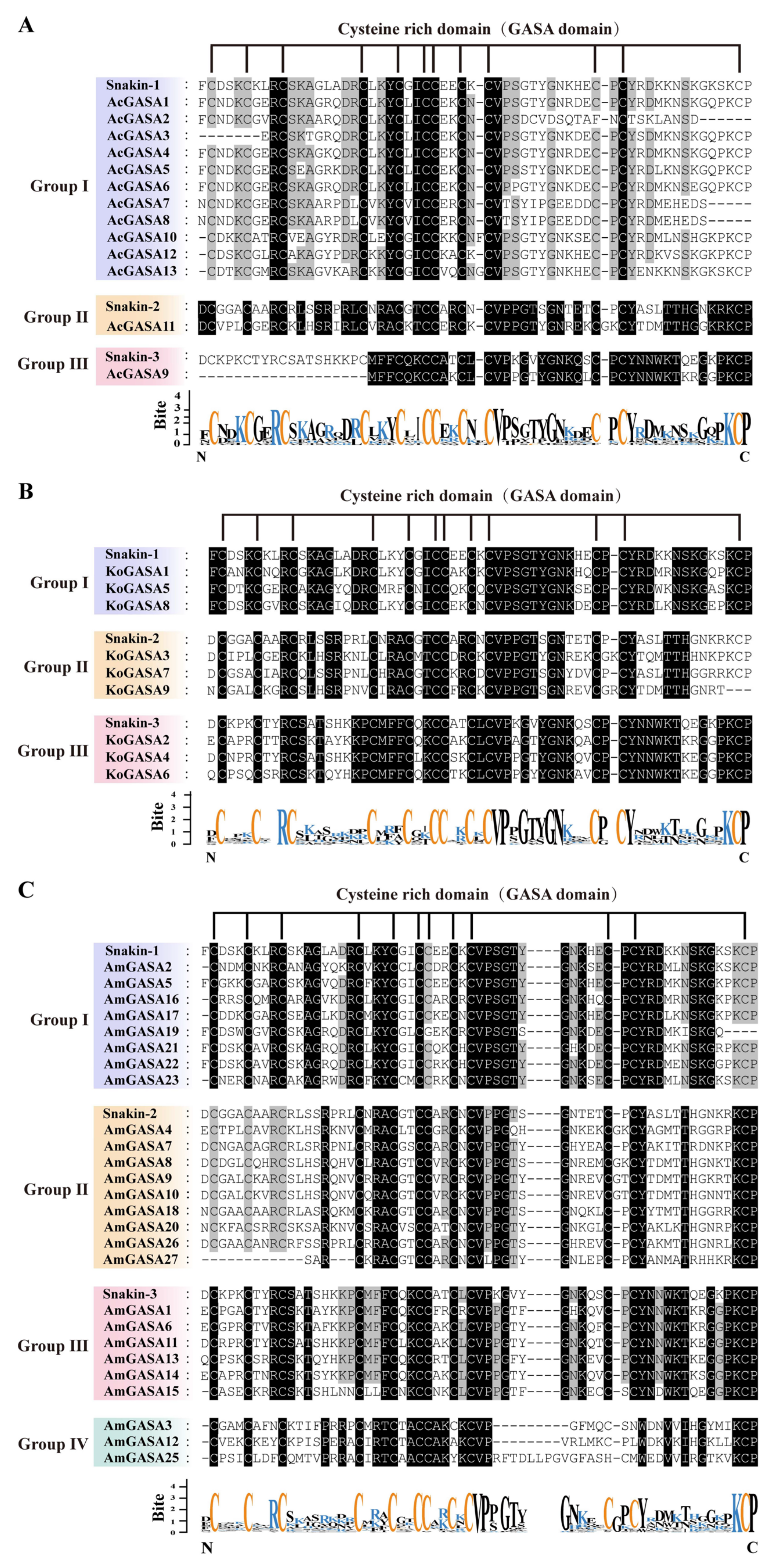 Genes 14 00923 g003