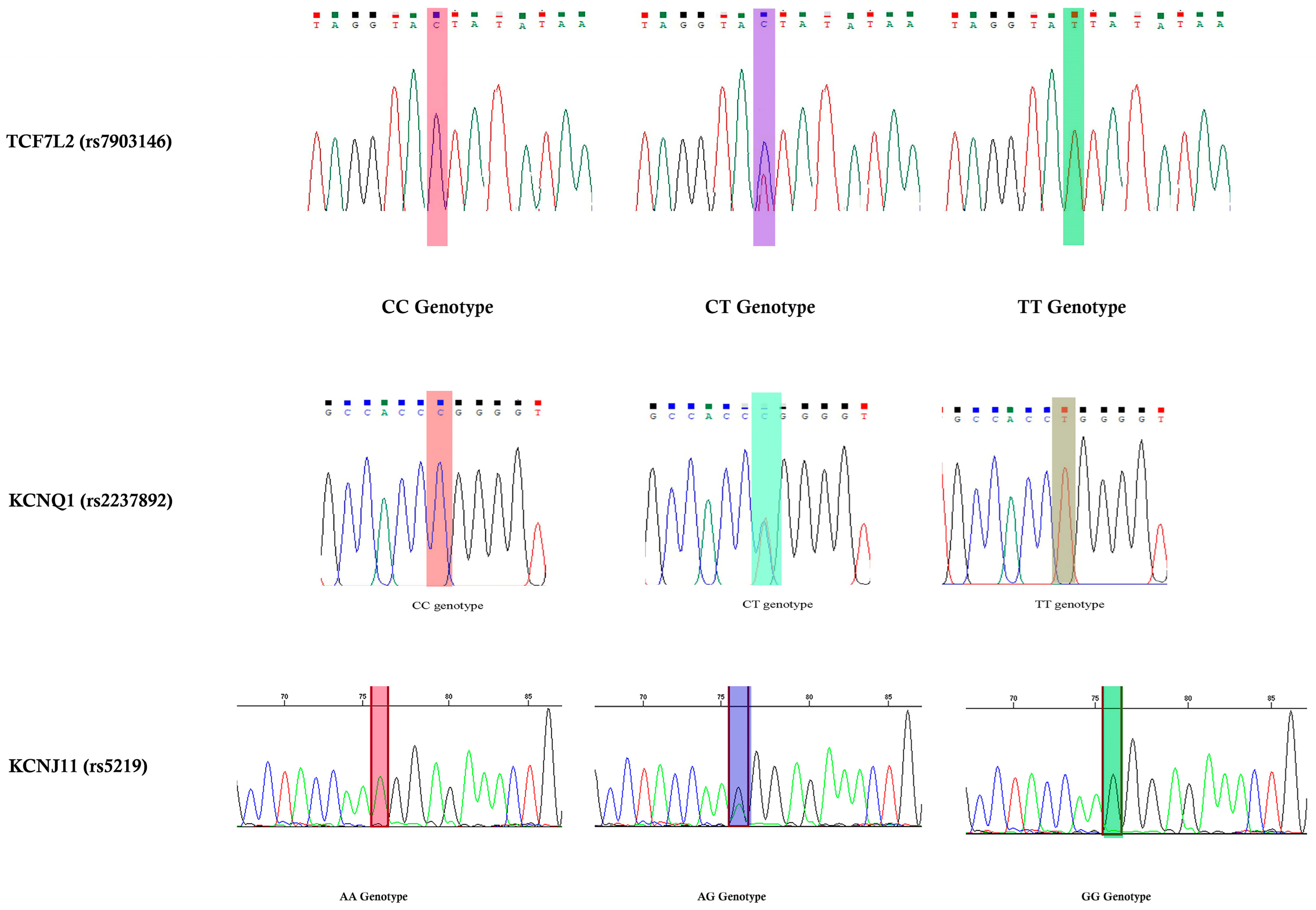 Genes 14 00924 g002 Genes 14 00924 g002