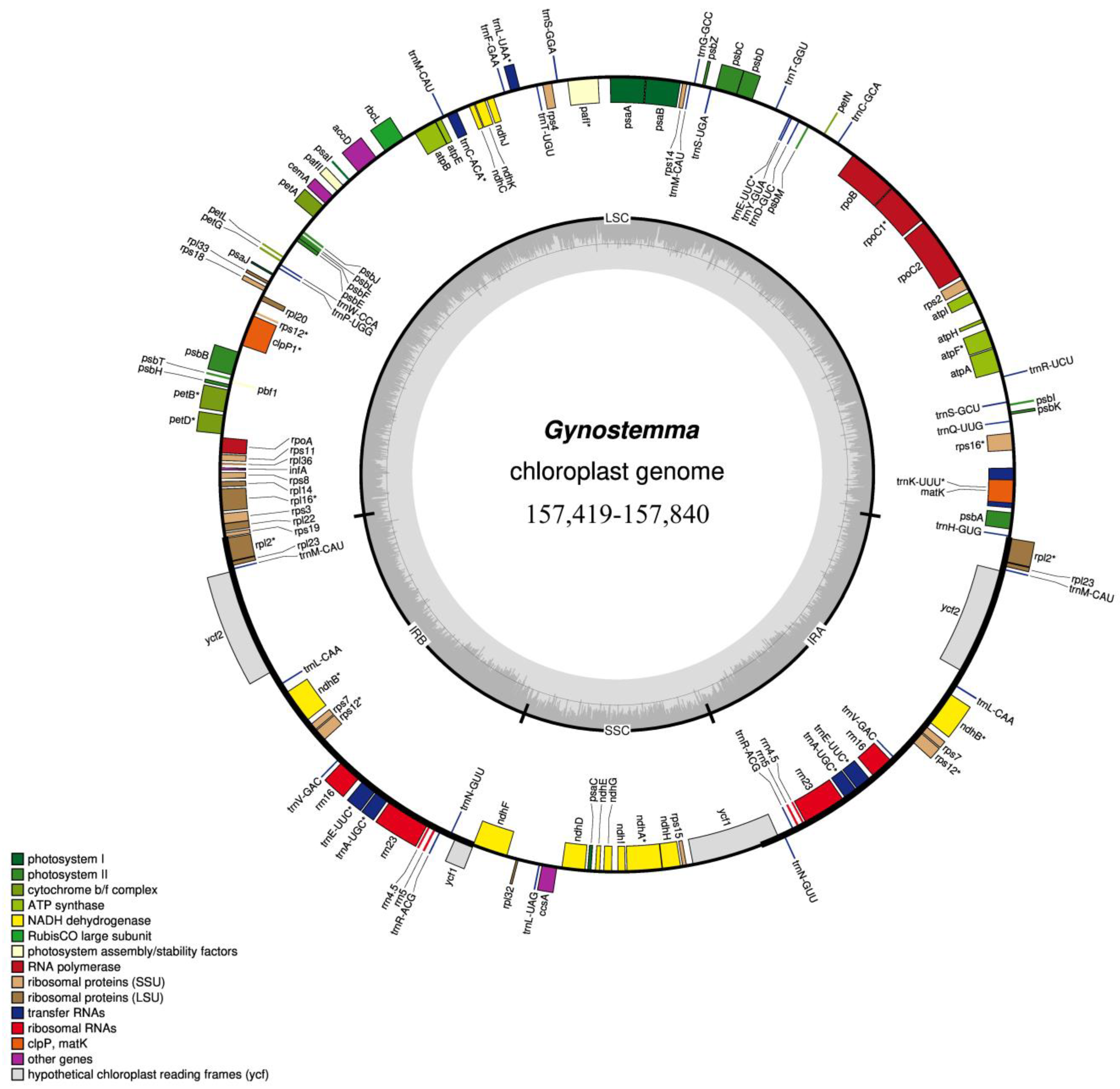 Genes 14 00929 g001 Genes 14 00929 g001