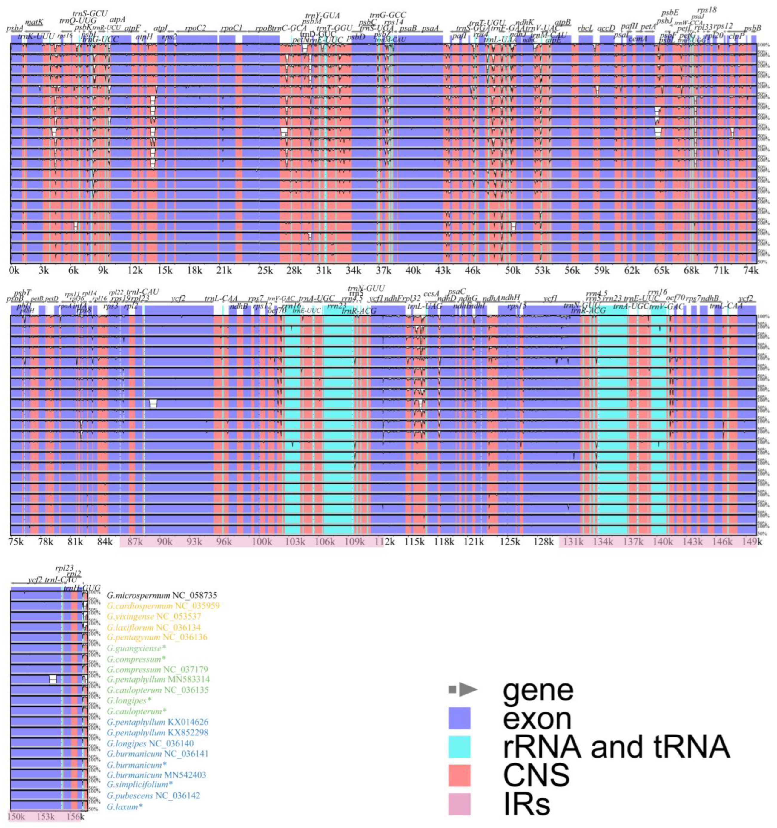 Genes 14 00929 g004 Genes 14 00929 g004