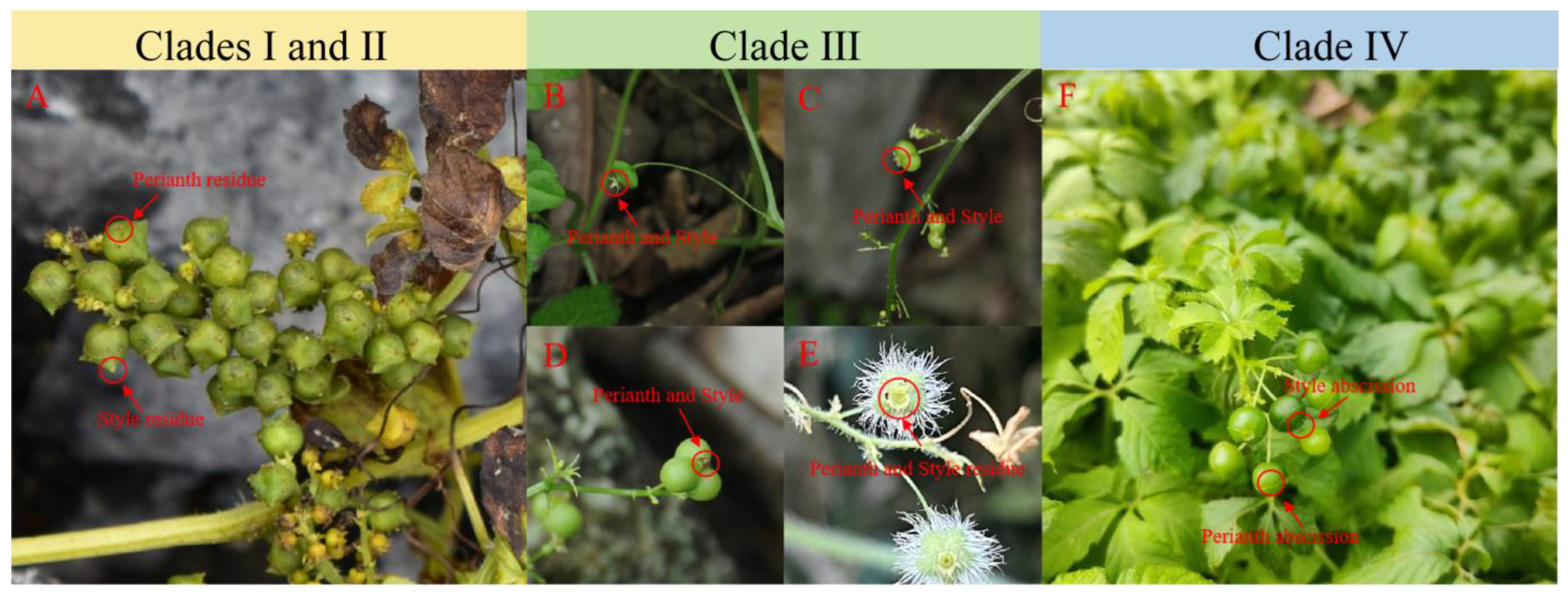 Genes 14 00929 g008 Genes 14 00929 g008