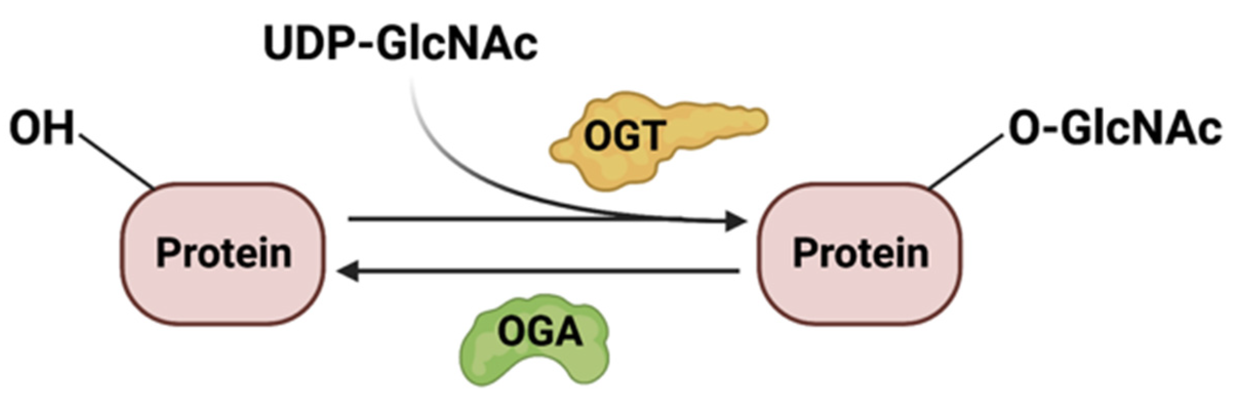 Genes 14 00933 g005 Genes 14 00933 g005