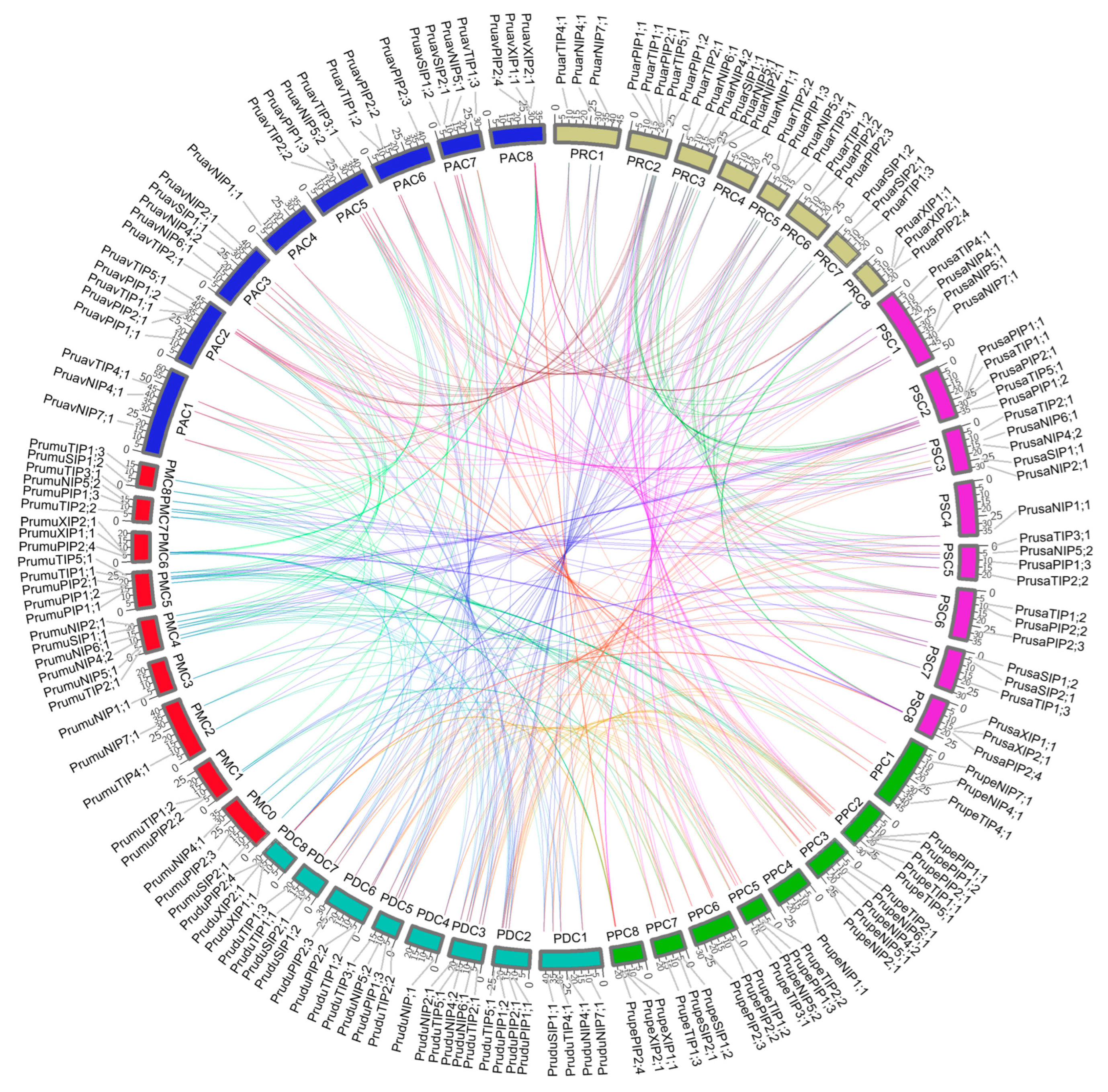 Genes 14 00940 g001 Genes 14 00940 g001