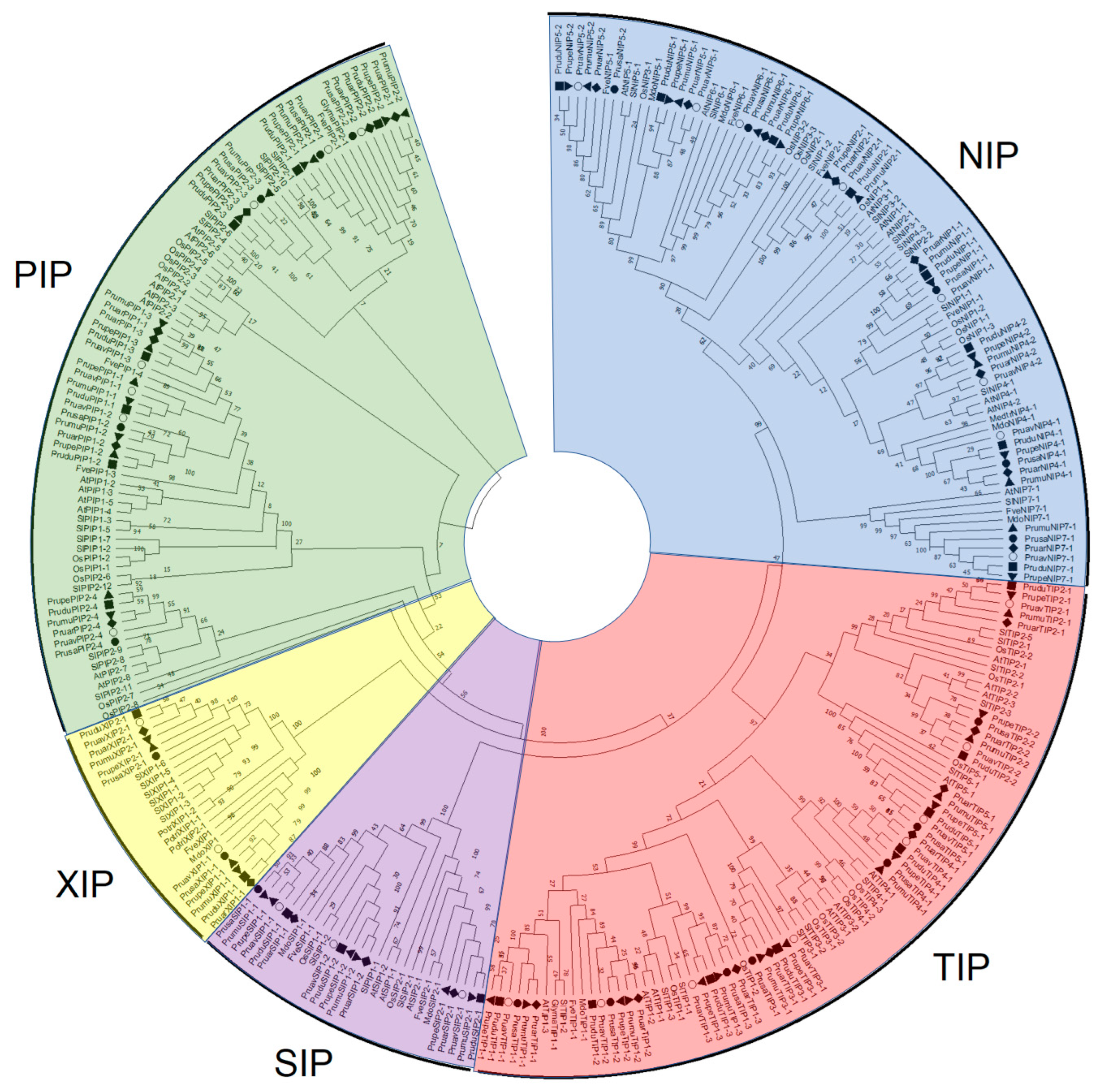 Genes 14 00940 g002 Genes 14 00940 g002