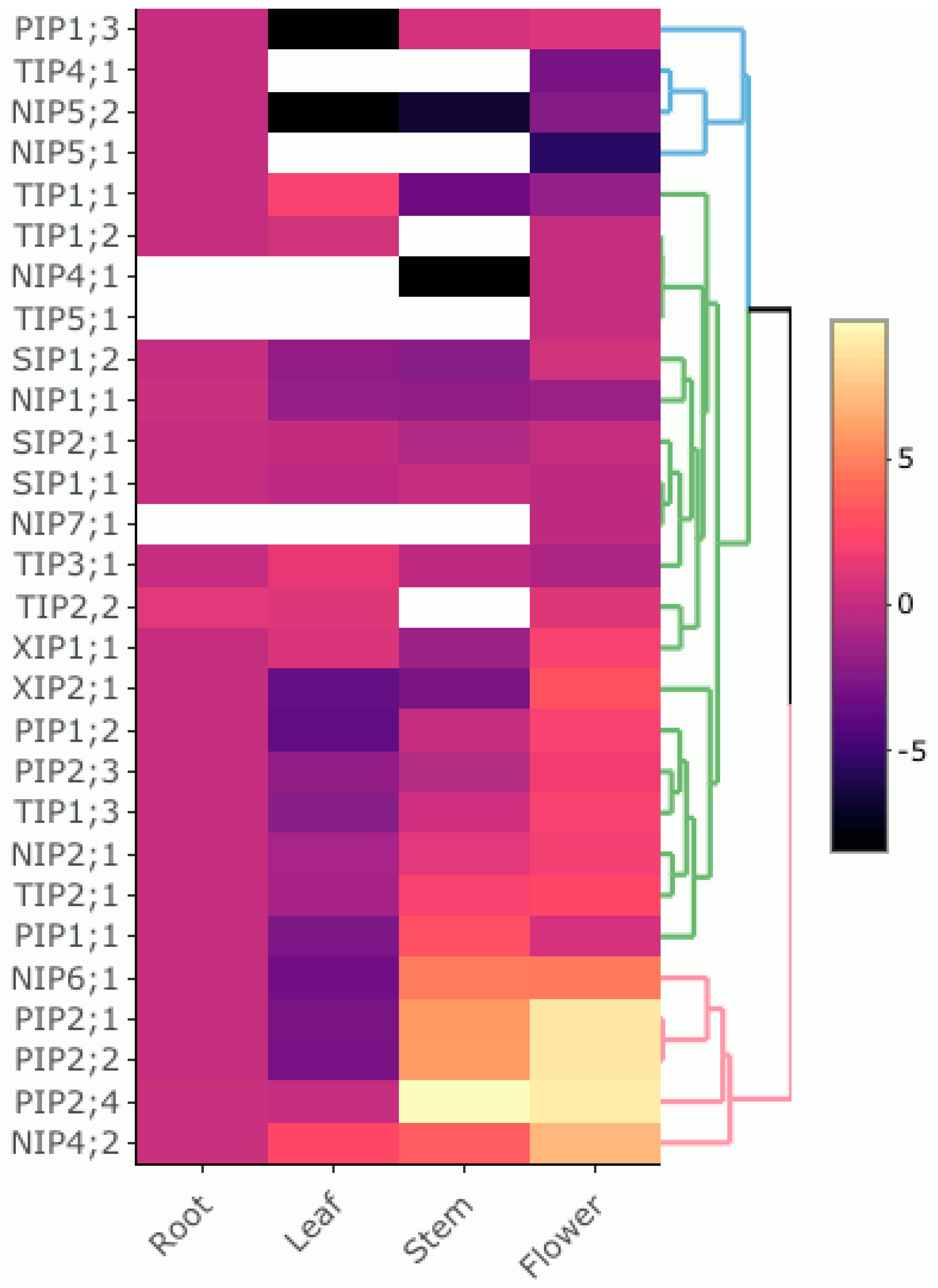 Genes 14 00940 g005 Genes 14 00940 g005