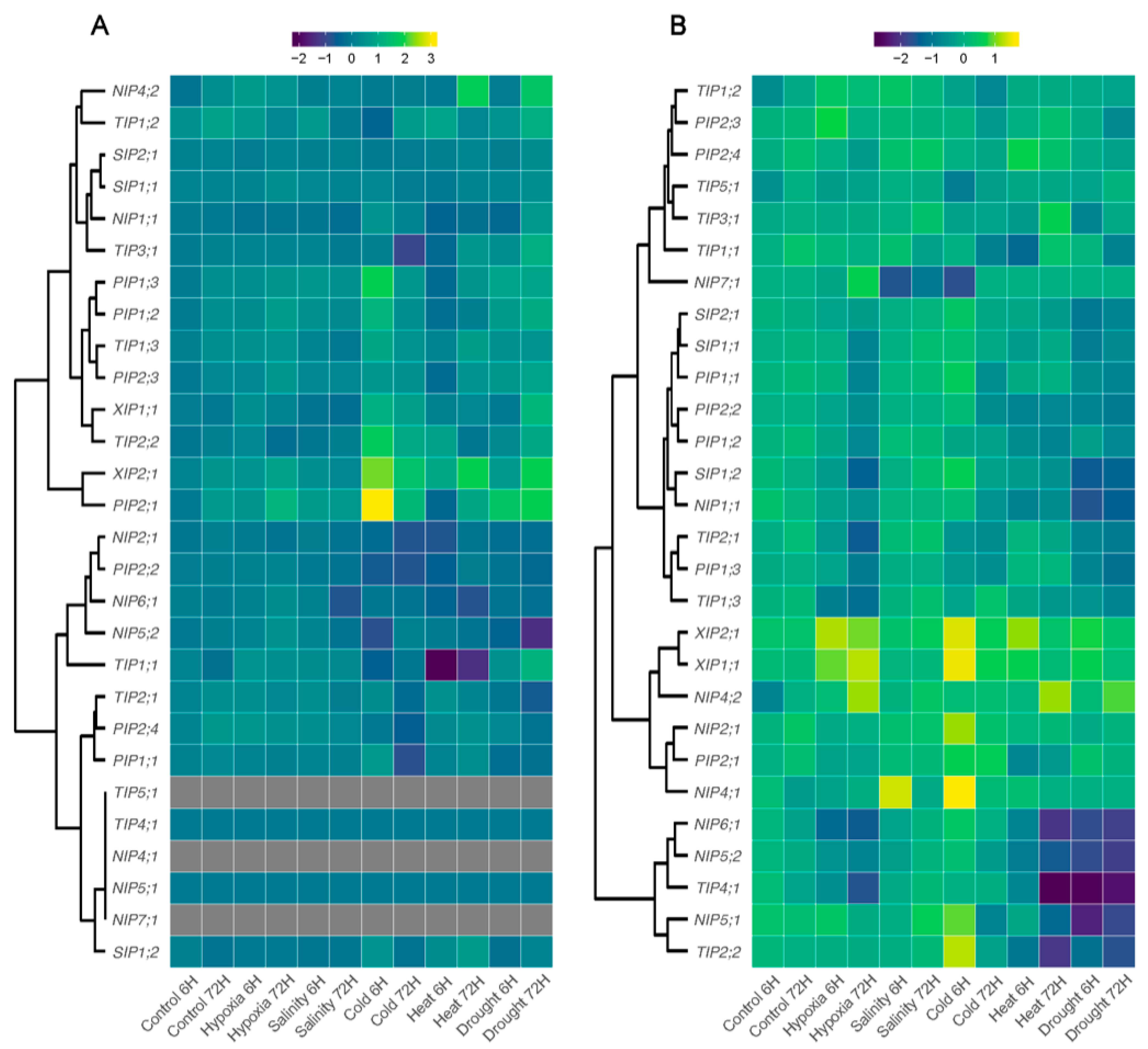 Genes 14 00940 g006 Genes 14 00940 g006