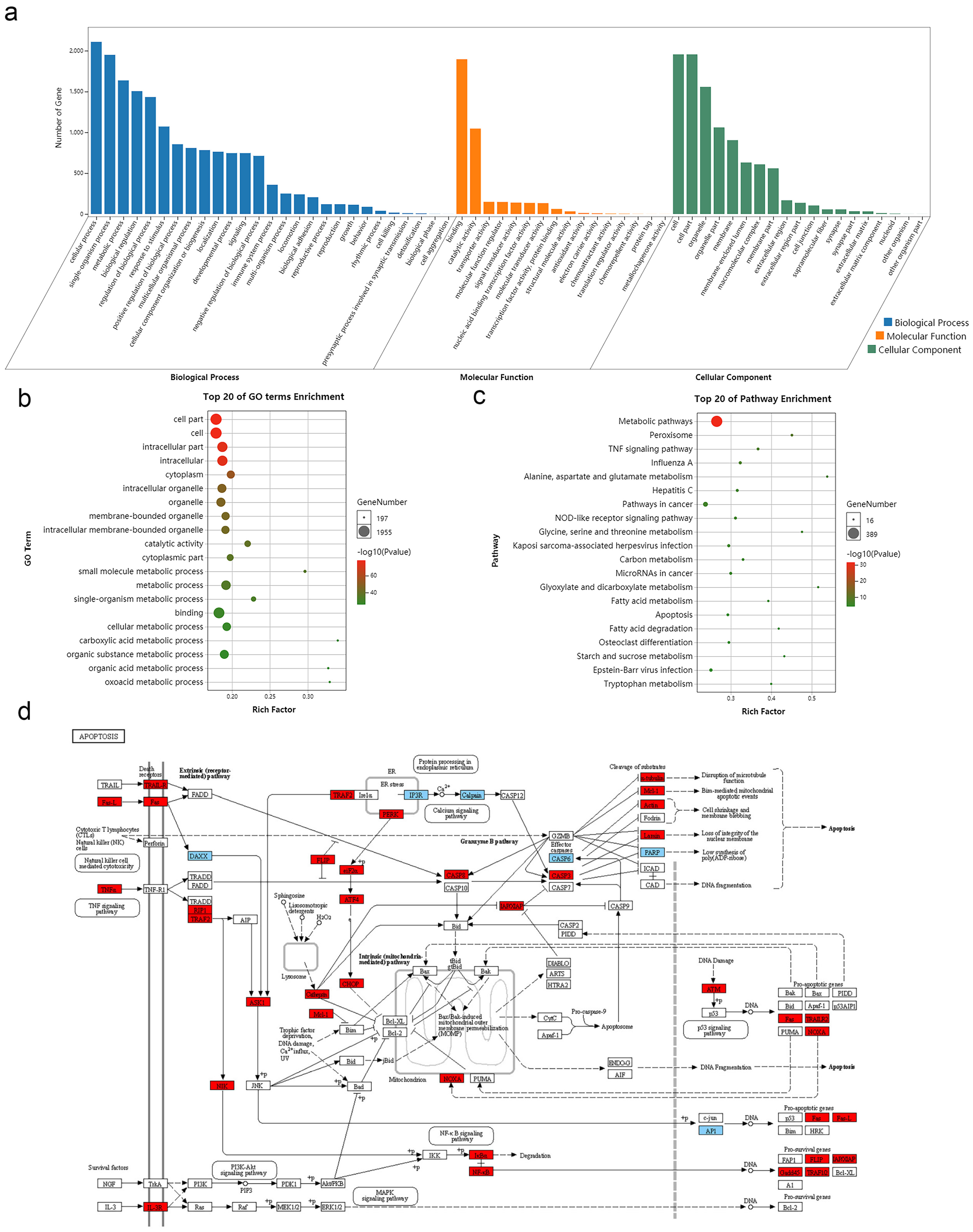 Genes 14 00945 g003 Genes 14 00945 g003