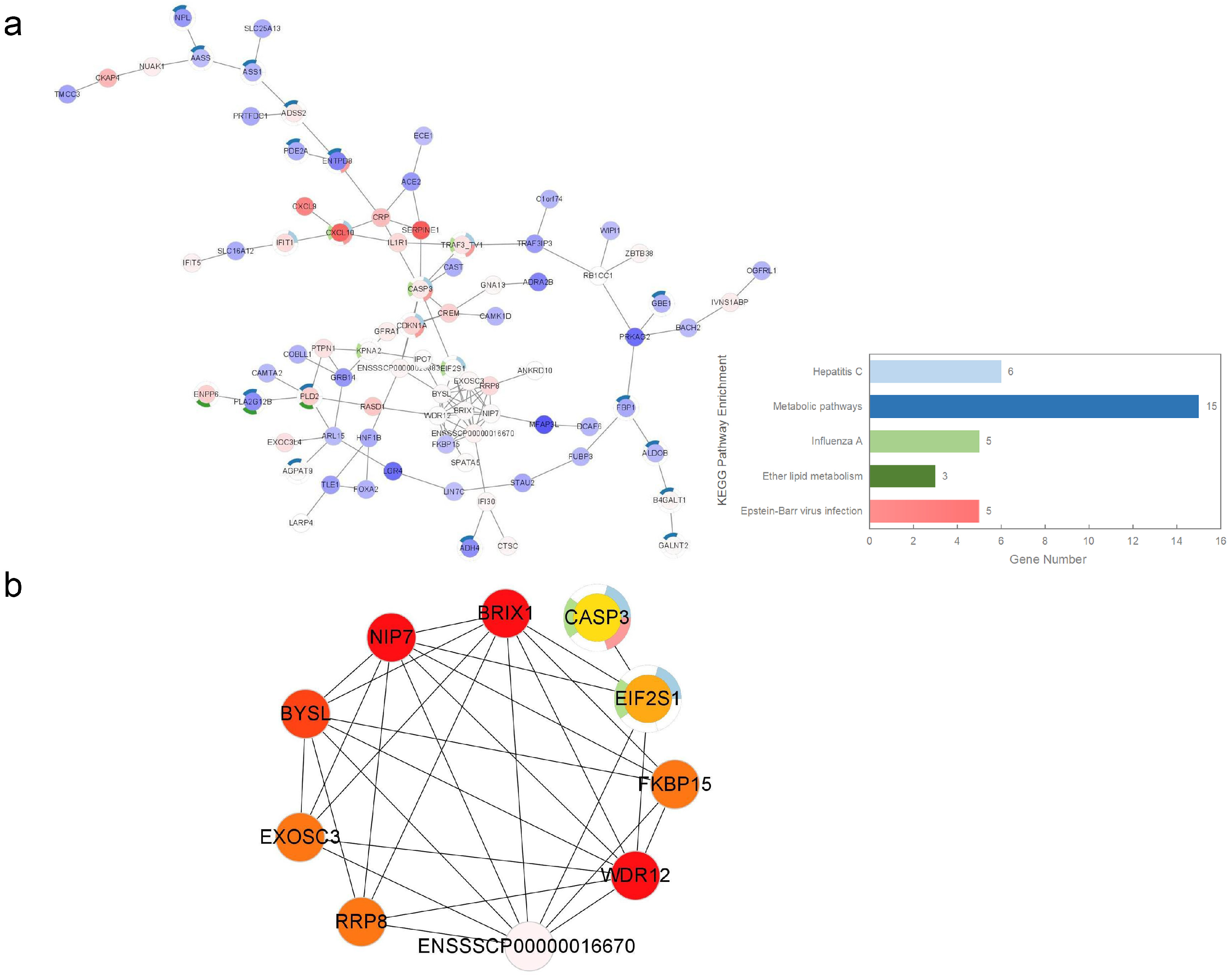 Genes 14 00945 g005 Genes 14 00945 g005