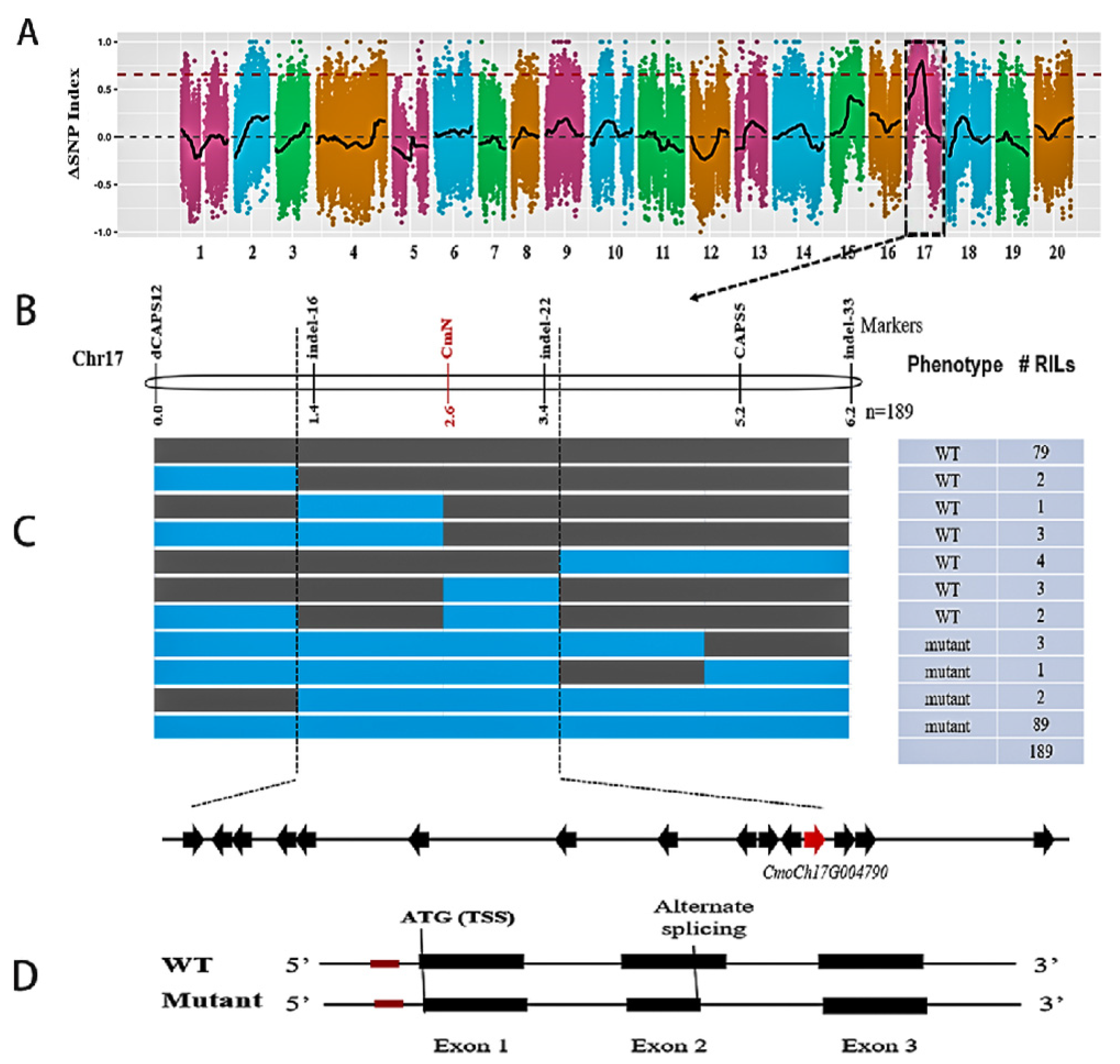 Genes 14 00962 g002 Genes 14 00962 g002