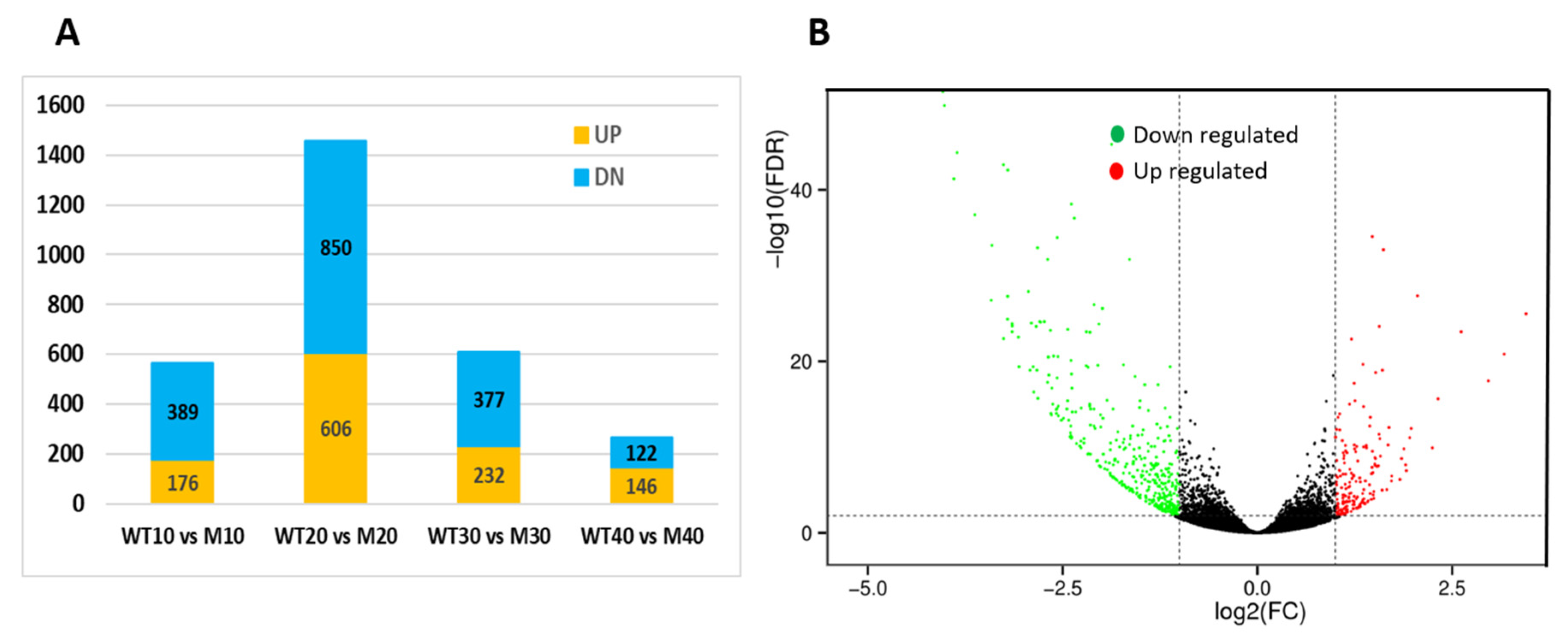 Genes 14 00962 g005 Genes 14 00962 g005