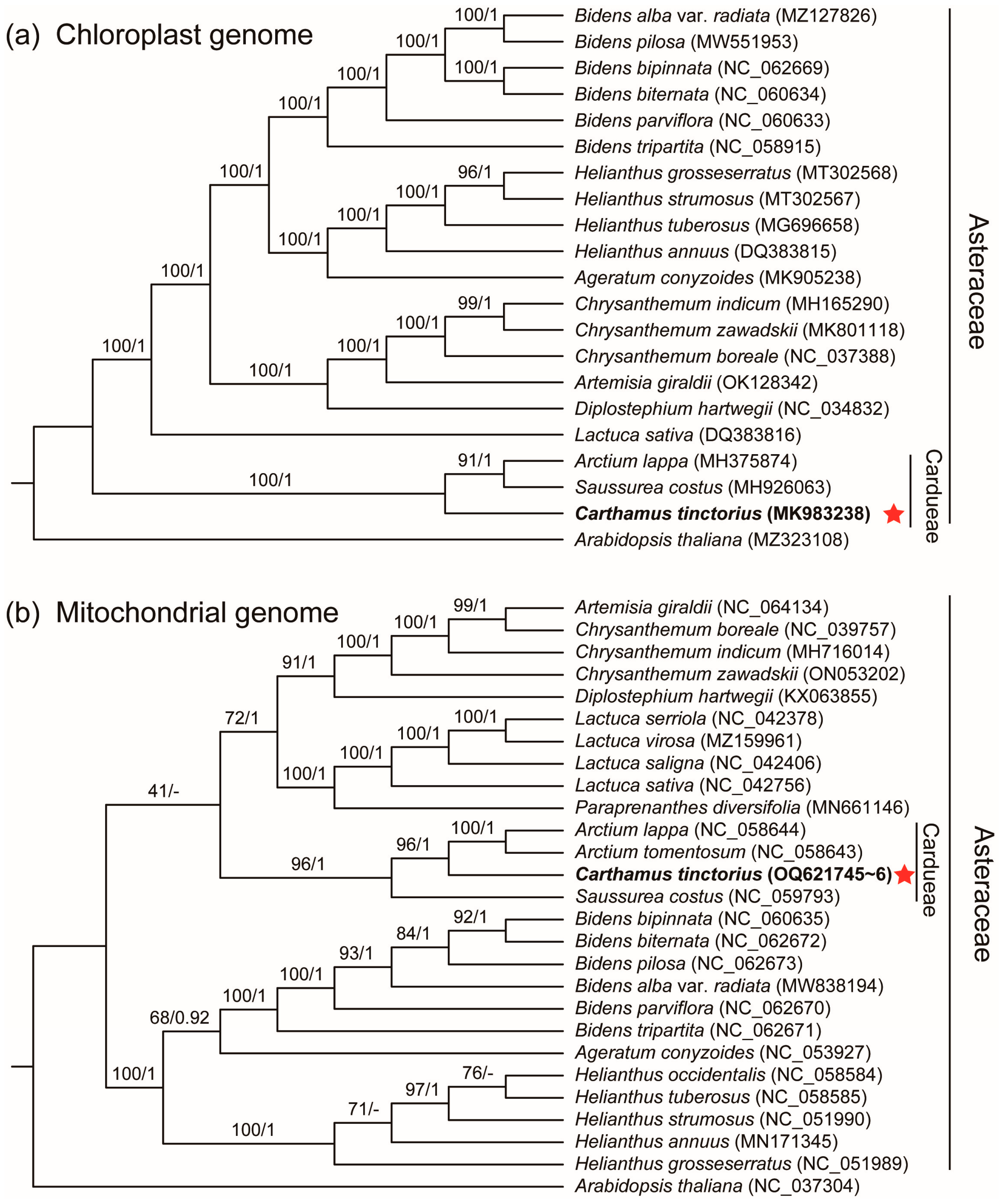 Genes 14 00979 g006