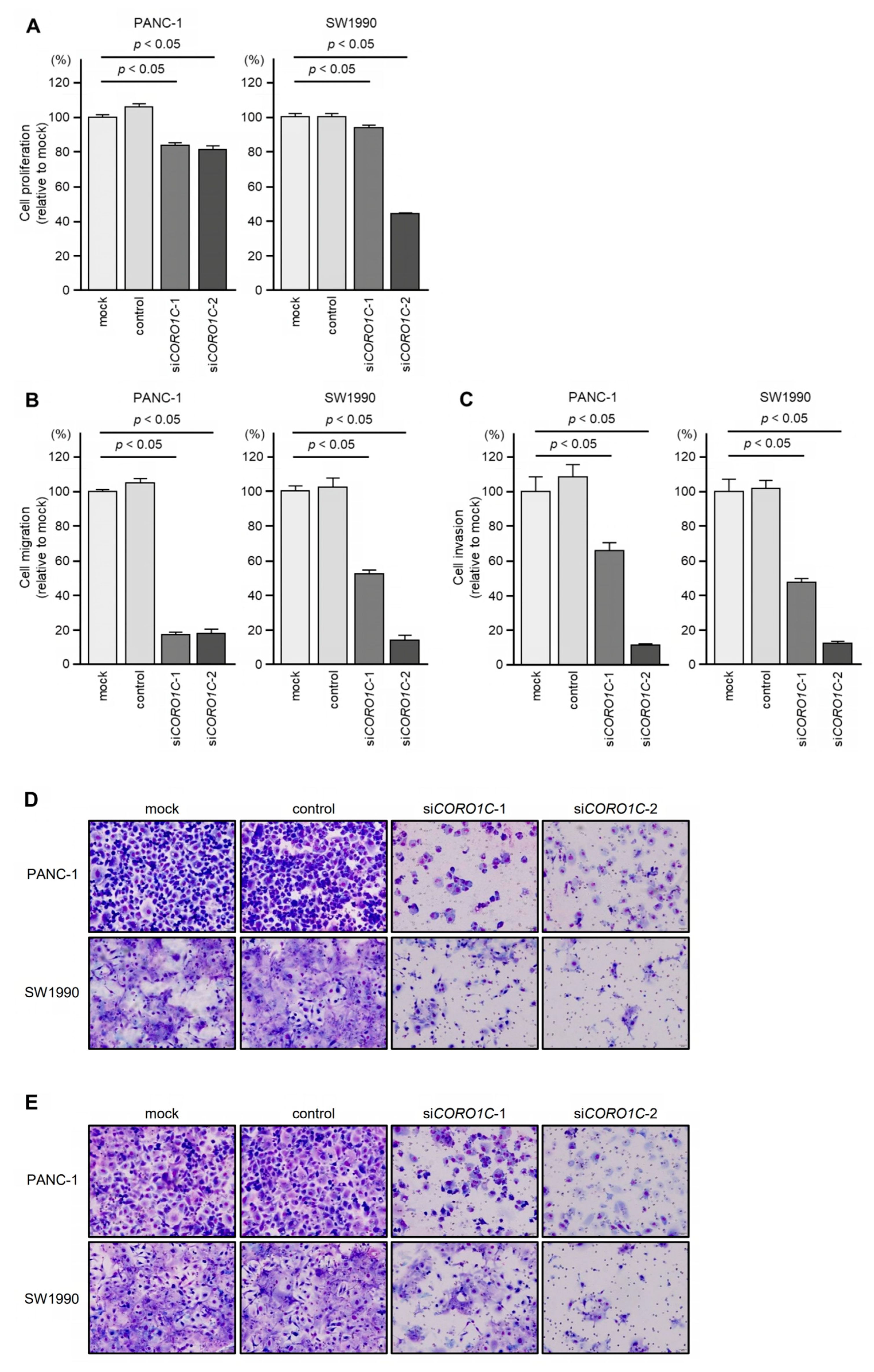 Genes 14 00995 g003 Genes 14 00995 g003