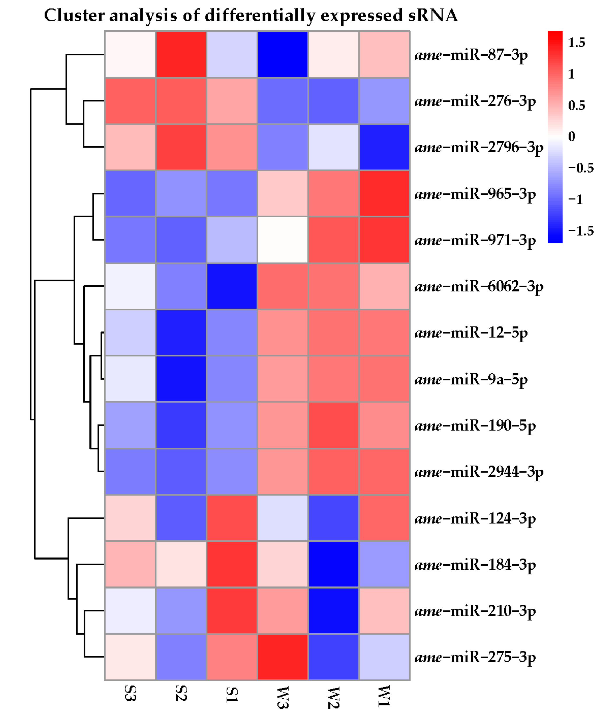 Genes 14 01000 g002 Genes 14 01000 g002