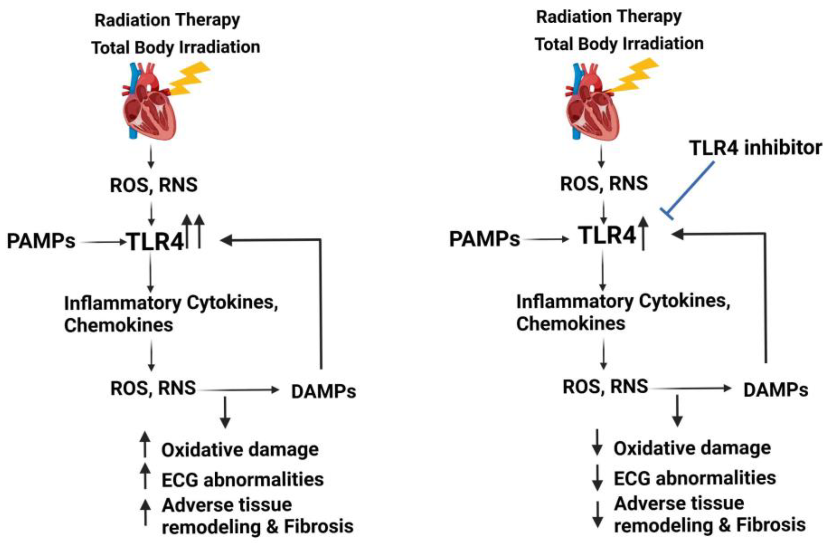 Genes 14 01002 g001 Genes 14 01002 g001