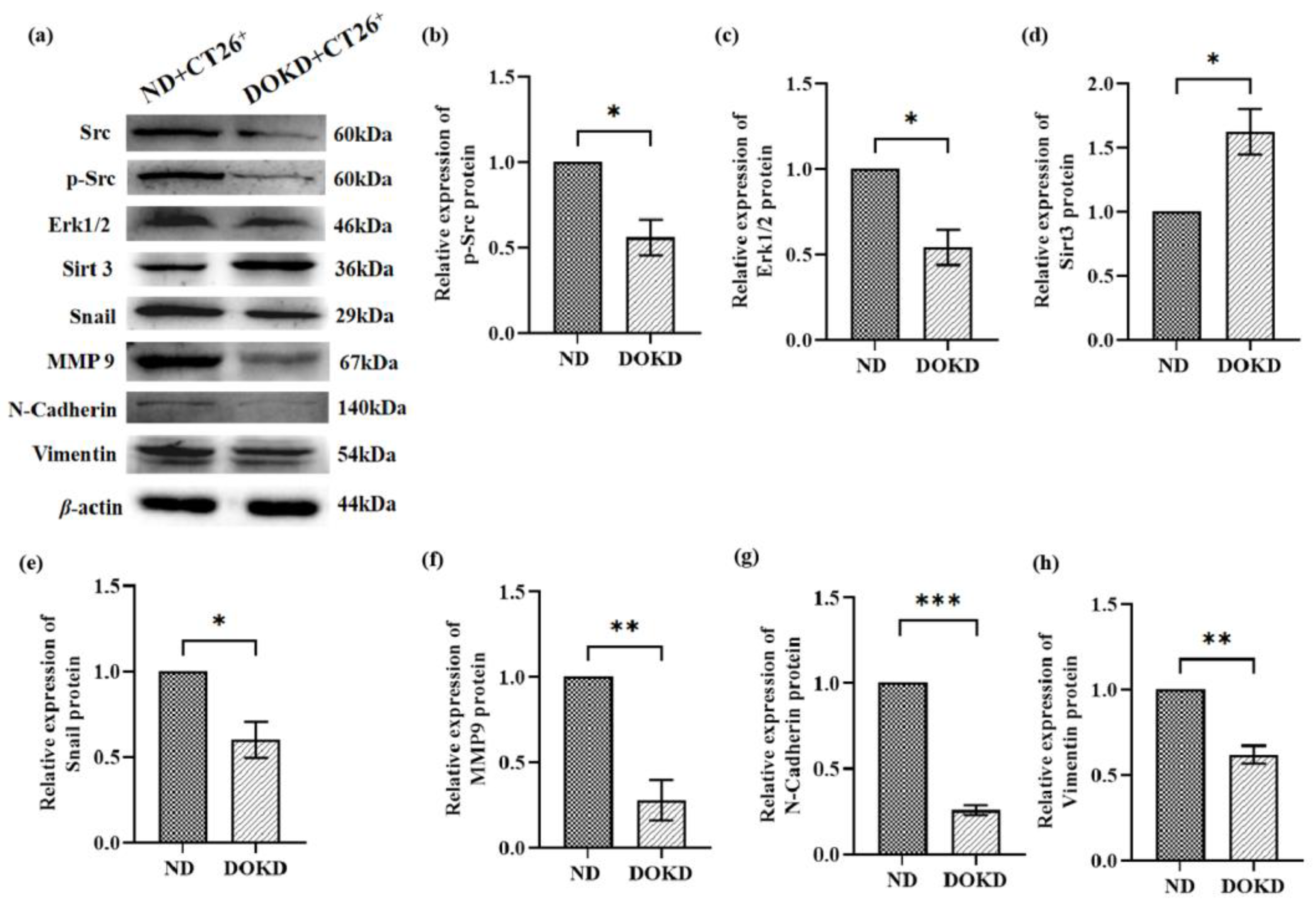 Genes 14 01024 g007 Genes 14 01024 g007