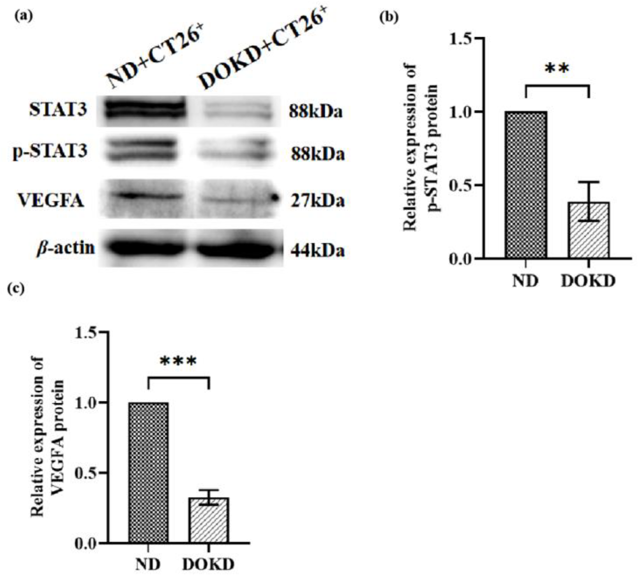 Genes 14 01024 g008 Genes 14 01024 g008