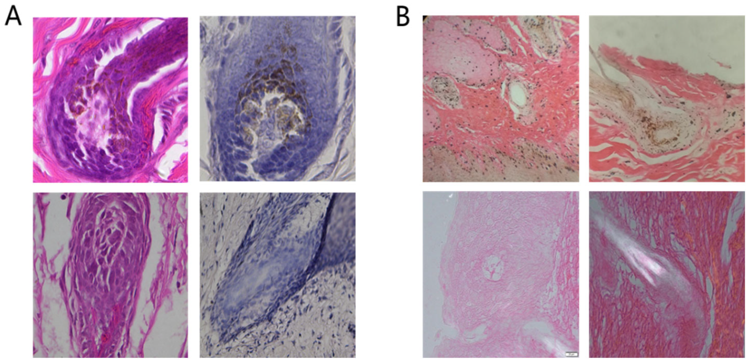 Genes 14 01035 g002 Genes 14 01035 g002