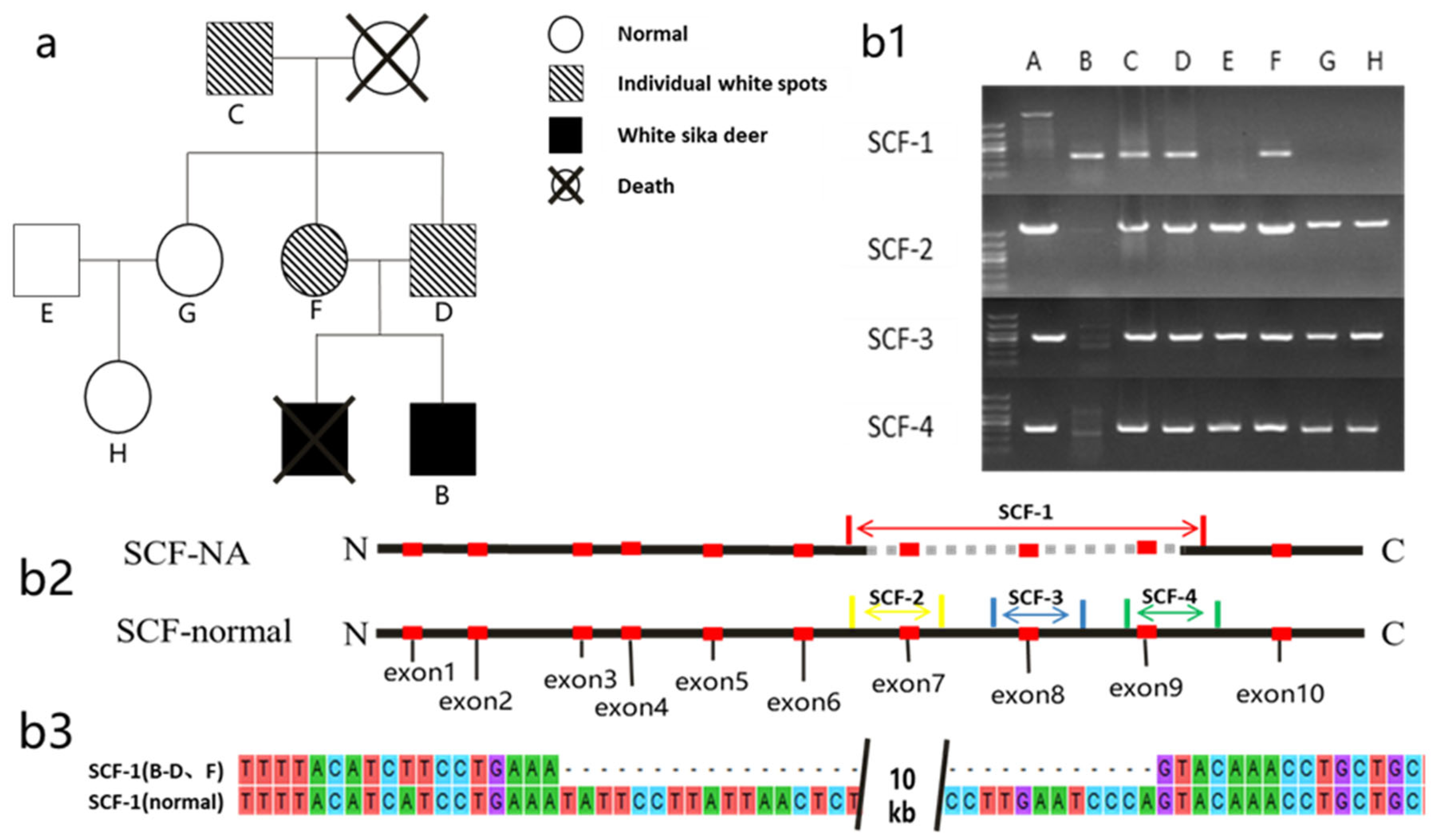 Genes 14 01035 g003 Genes 14 01035 g003