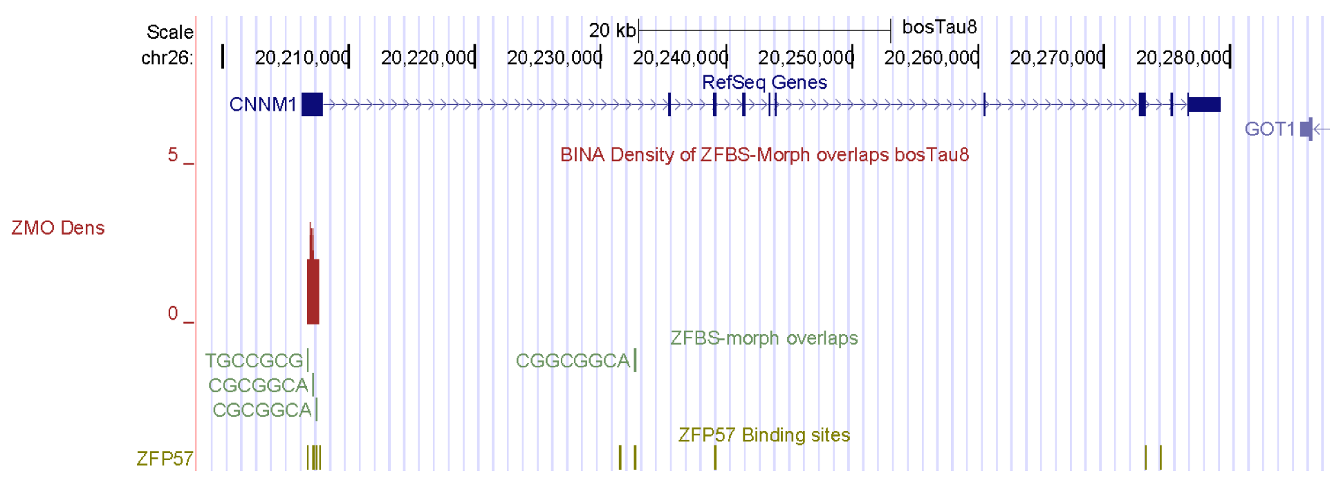 Genes 14 01036 g002 Genes 14 01036 g002