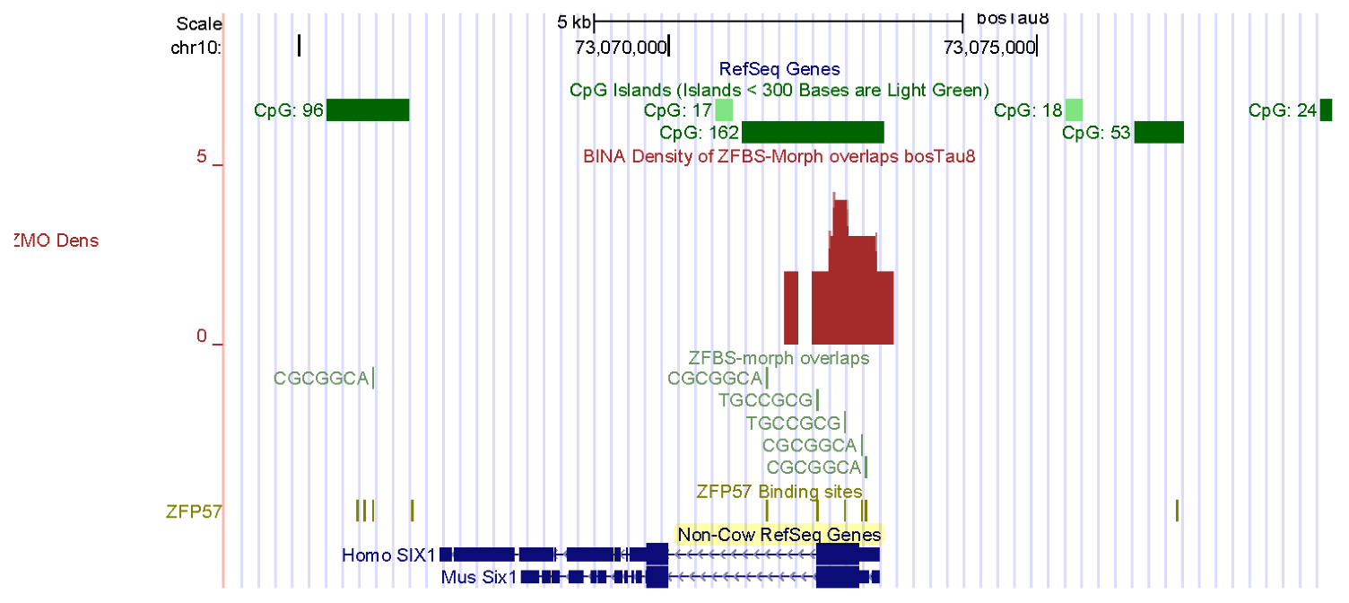 Genes 14 01036 g004 Genes 14 01036 g004