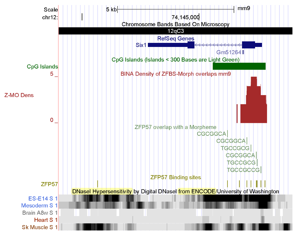 Genes 14 01036 g006 Genes 14 01036 g006