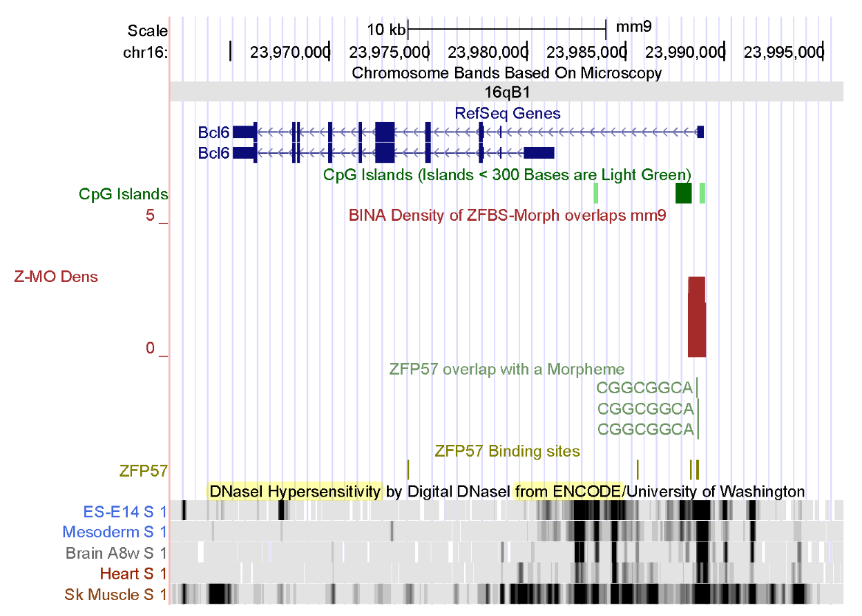 Genes 14 01036 g007 Genes 14 01036 g007