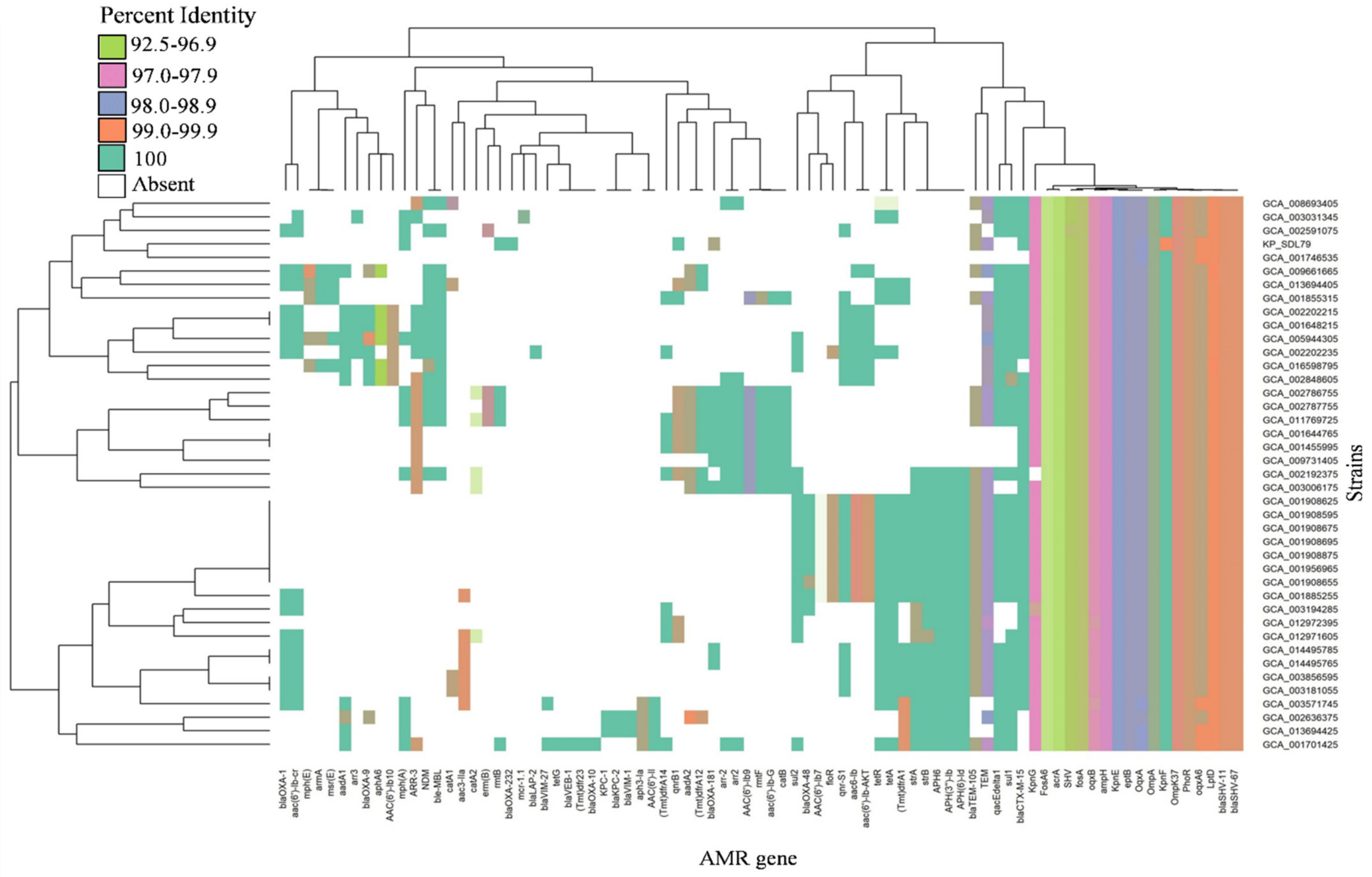 Genes 14 01037 g003 Genes 14 01037 g003