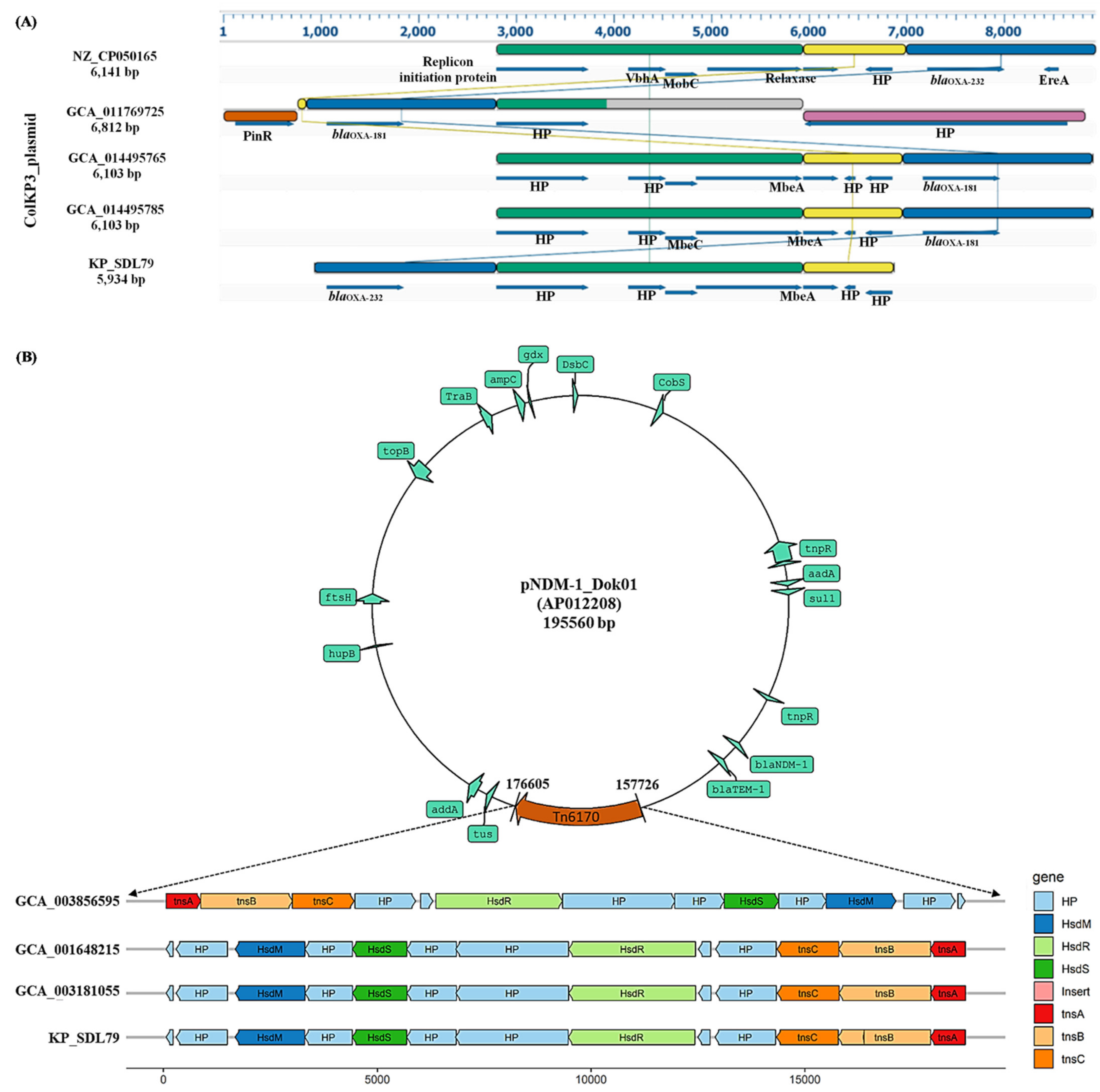 Genes 14 01037 g005 Genes 14 01037 g005