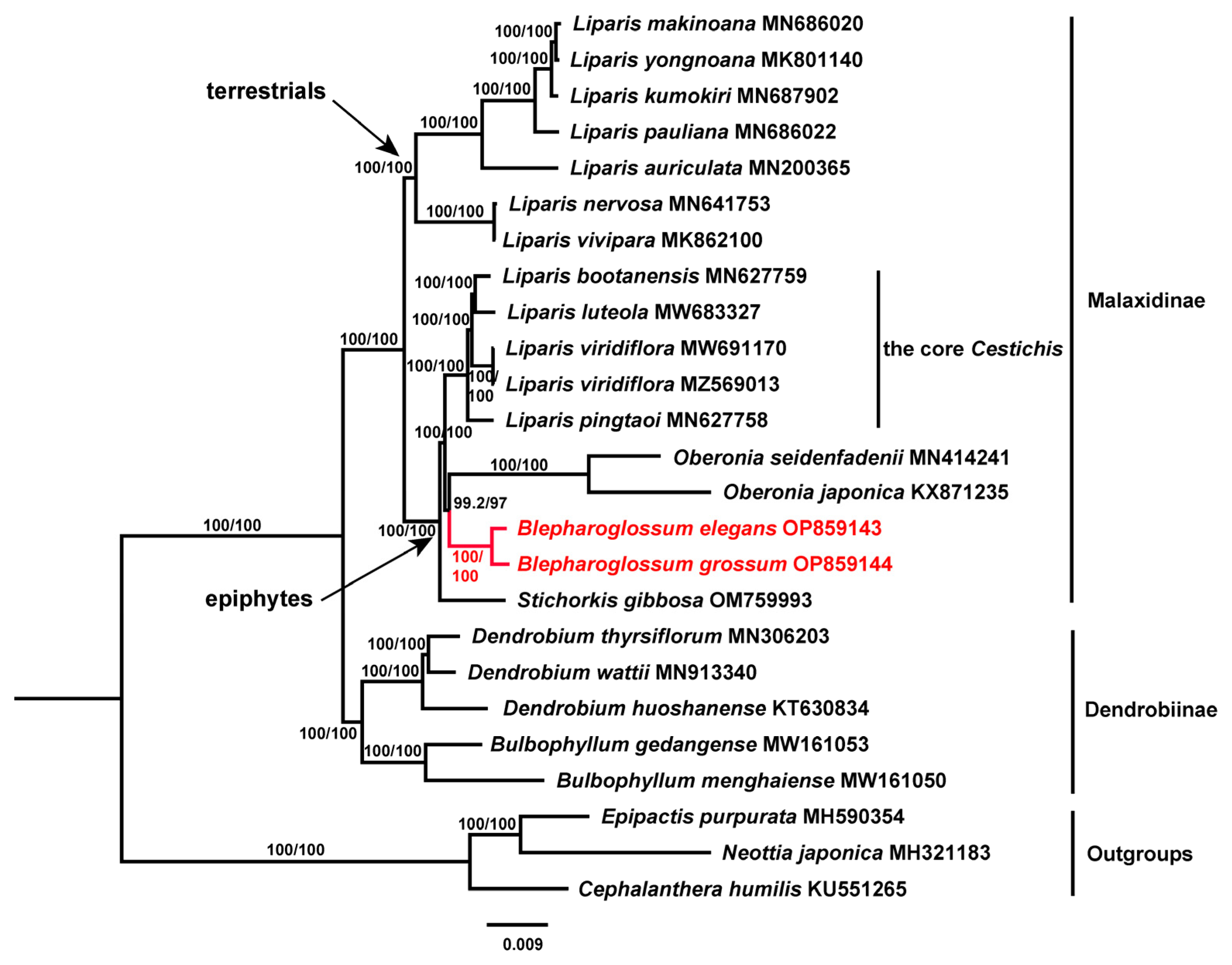 Genes 14 01069 g005 Genes 14 01069 g005