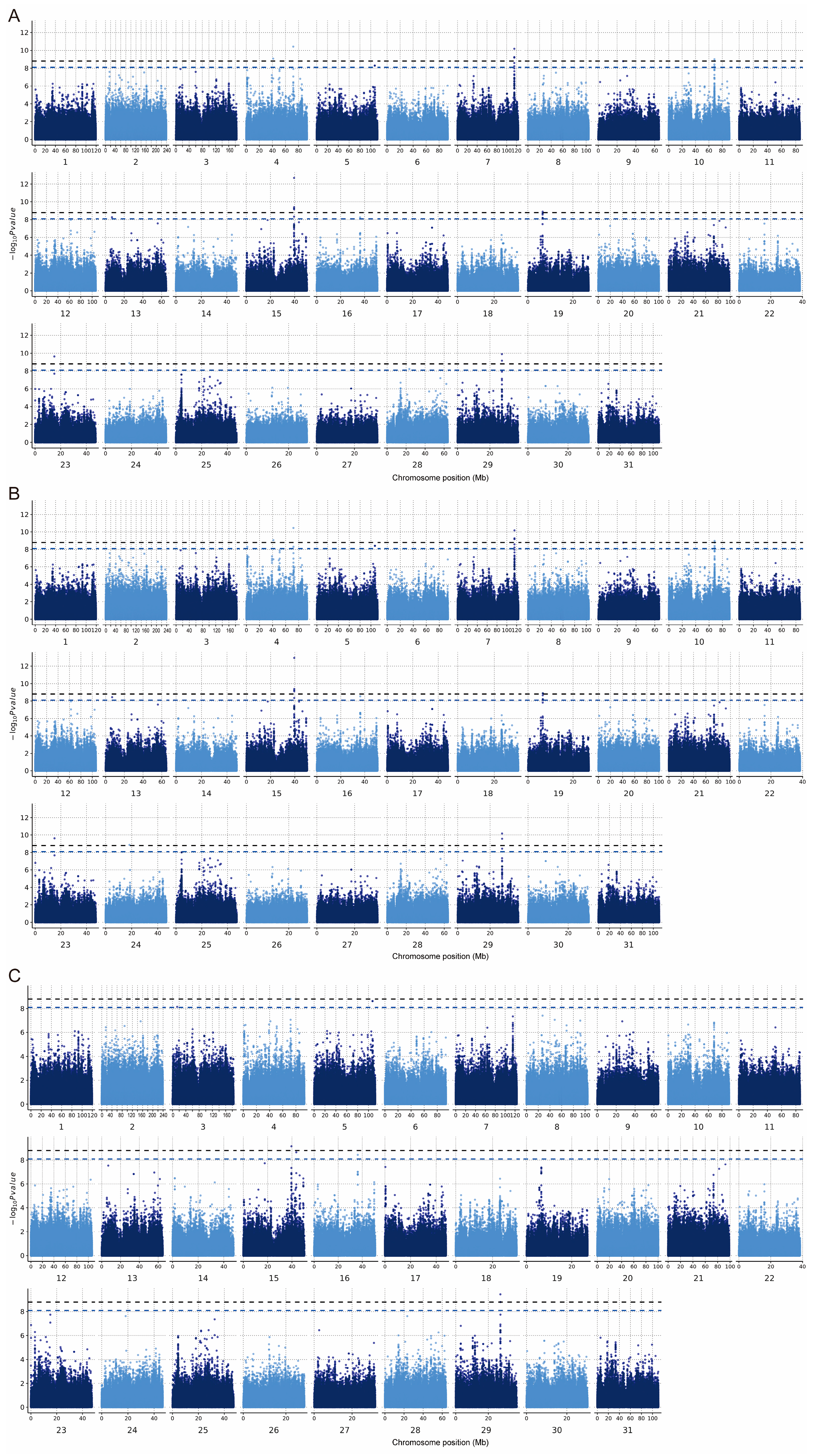 Genes 14 01081 g005 Genes 14 01081 g005