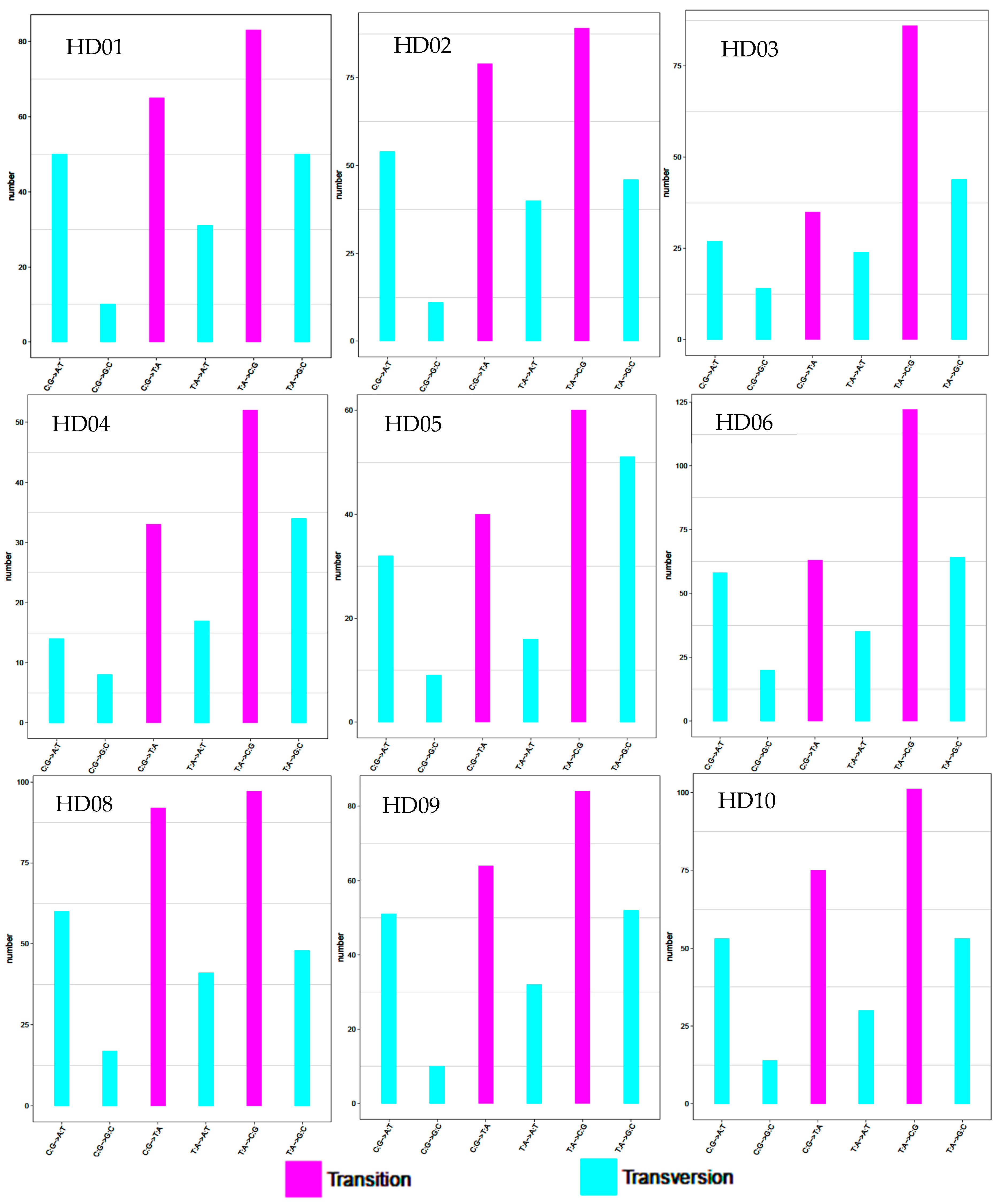 Genes 14 01083 g001 Genes 14 01083 g001