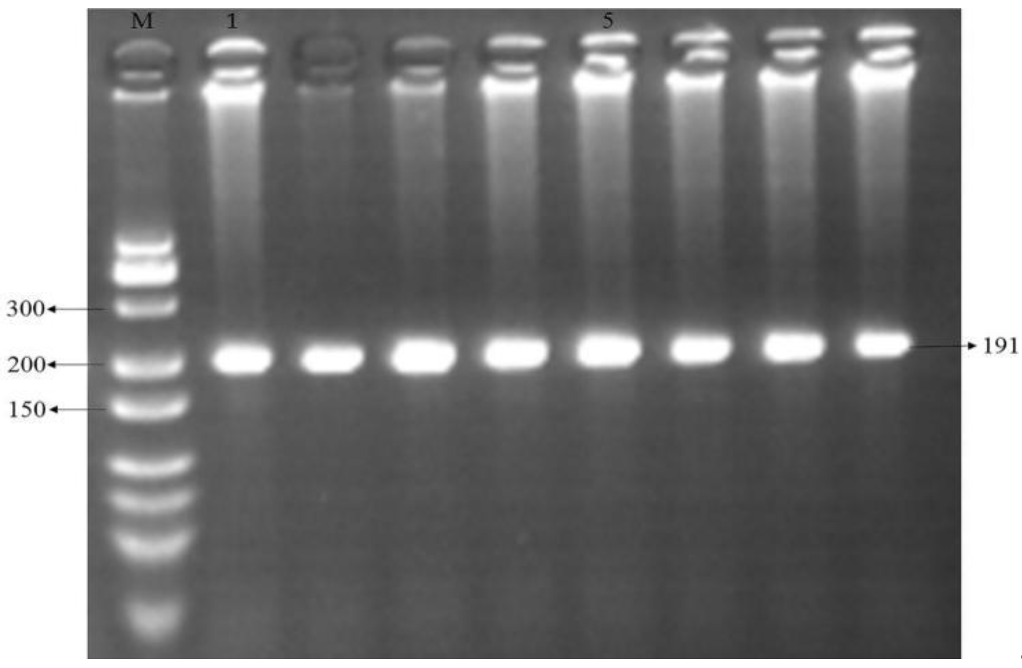 Genes 14 01102 g002 Genes 14 01102 g002