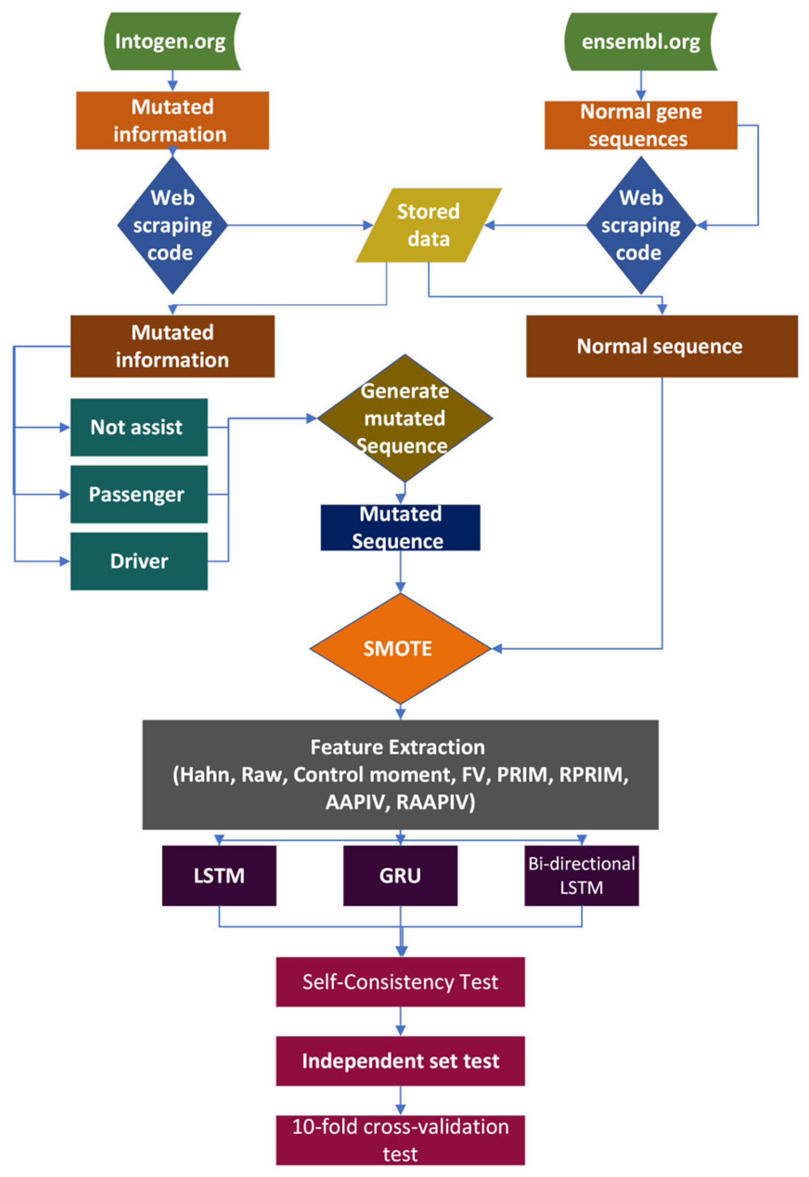 Genes 14 01104 g003 Genes 14 01104 g003