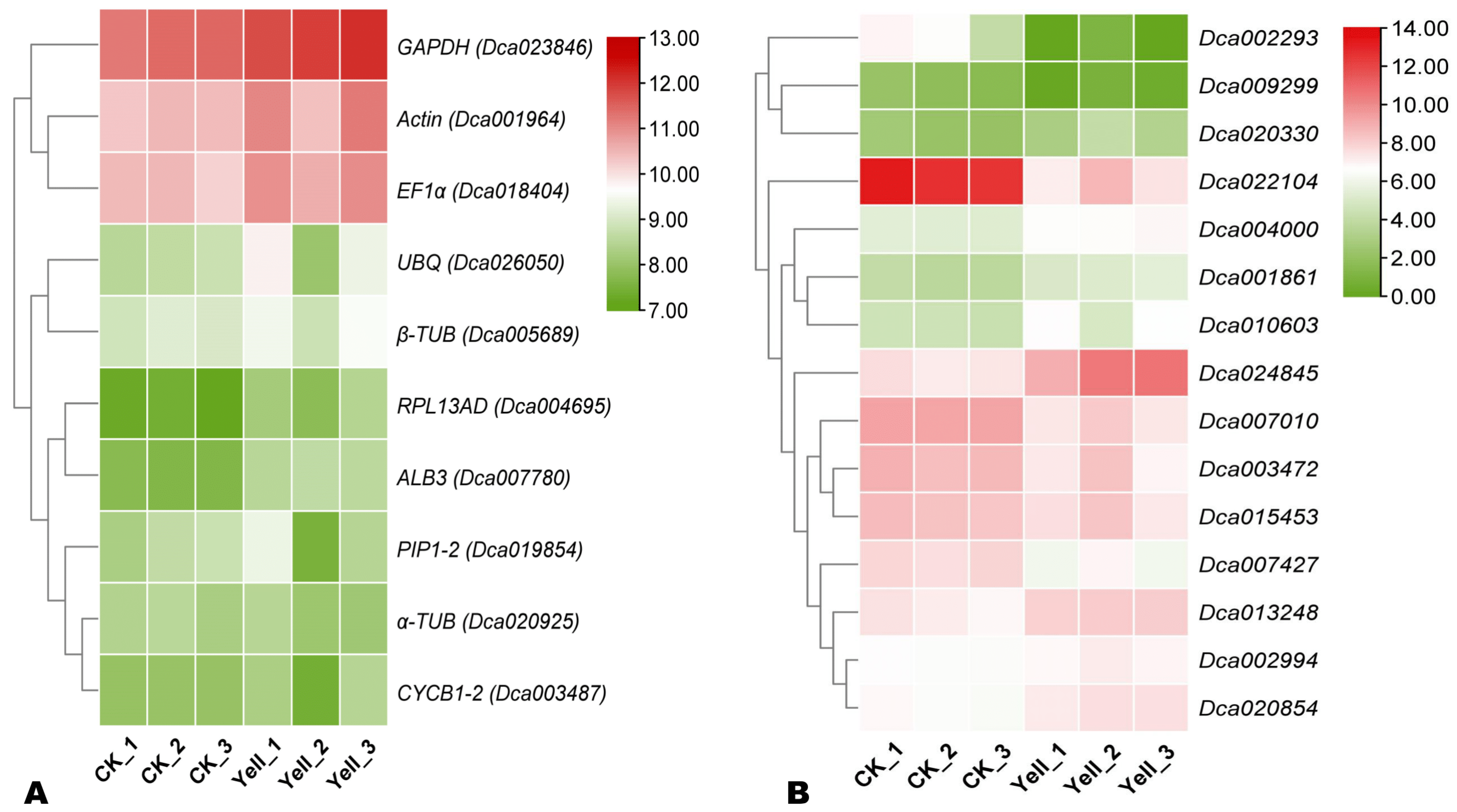 Genes 14 01112 g002 Genes 14 01112 g002