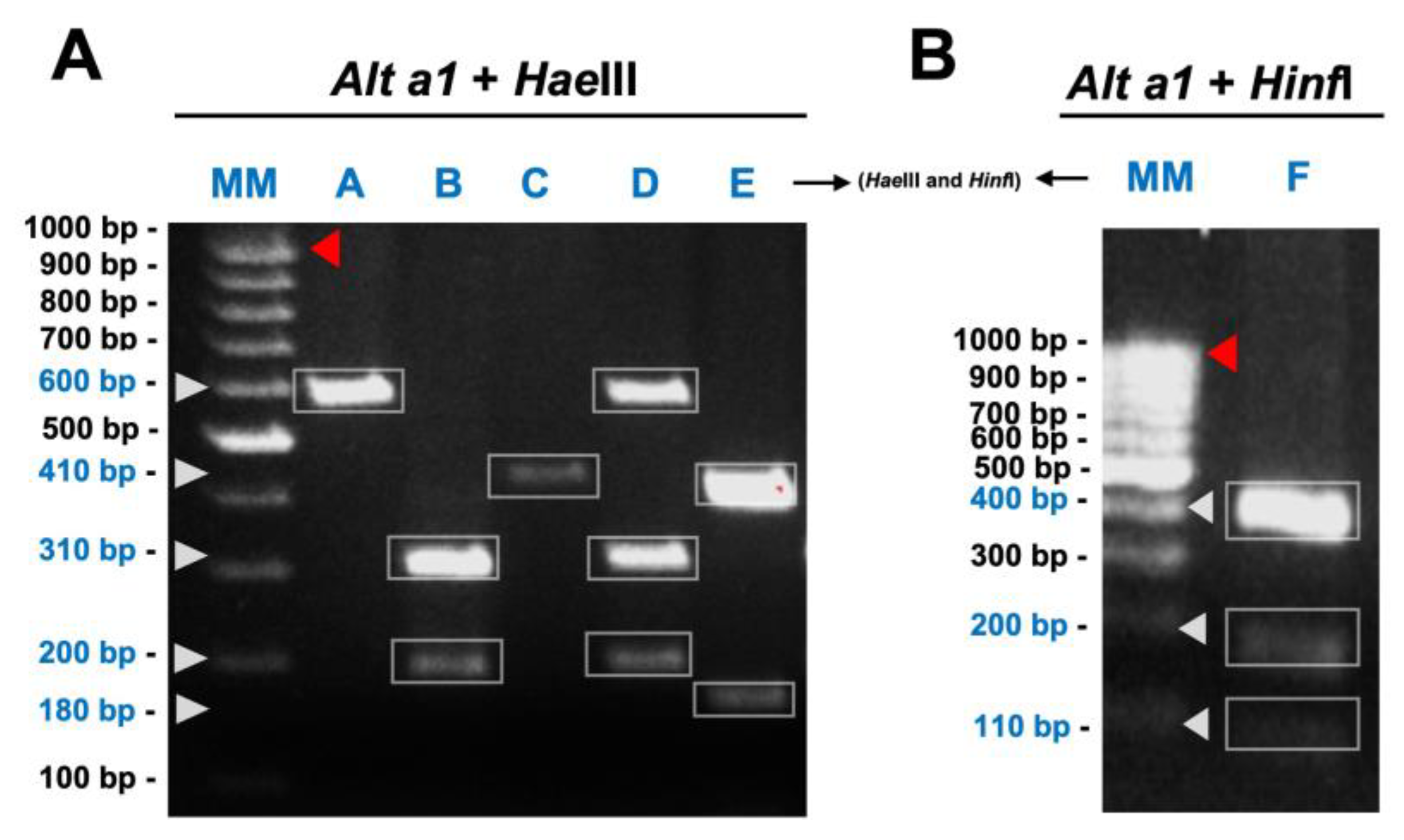 Genes 14 01115 g002 Genes 14 01115 g002