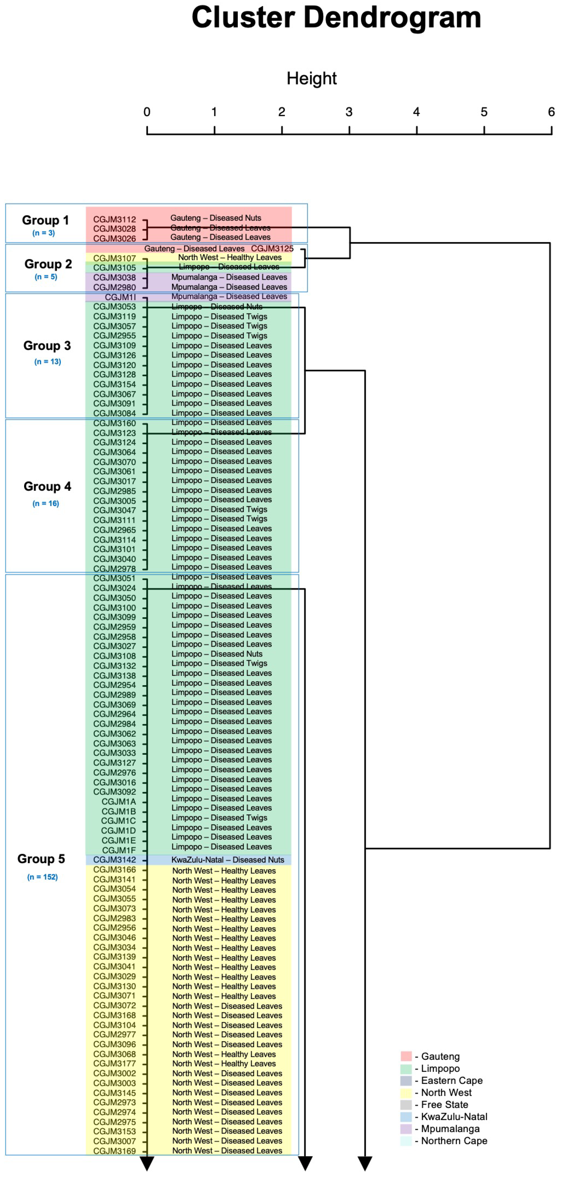 Genes 14 01115 g003a Genes 14 01115 g003a
