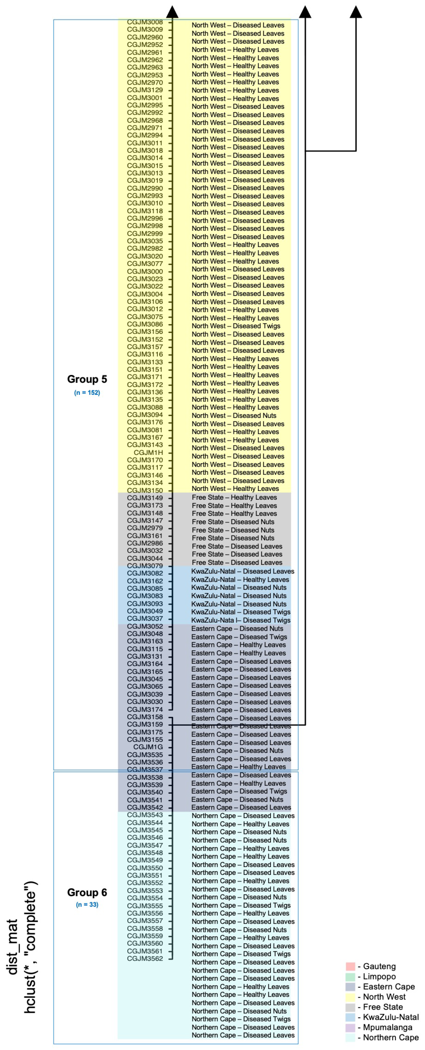 Genes 14 01115 g003b Genes 14 01115 g003b